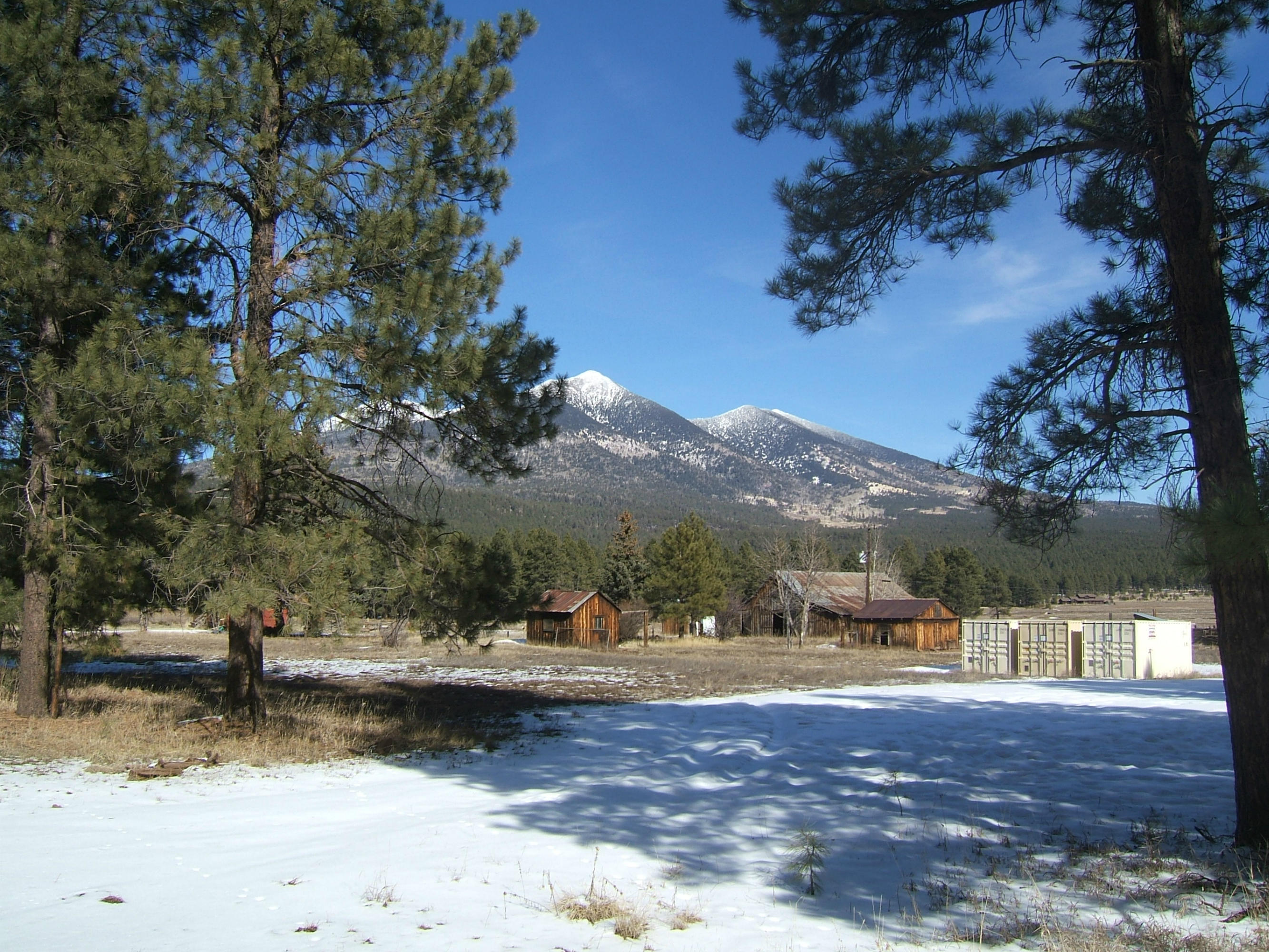 9150 North Roundtree Road Flagstaff, AZ 86001 - Photo 4 of 35 Roundtree property 004
