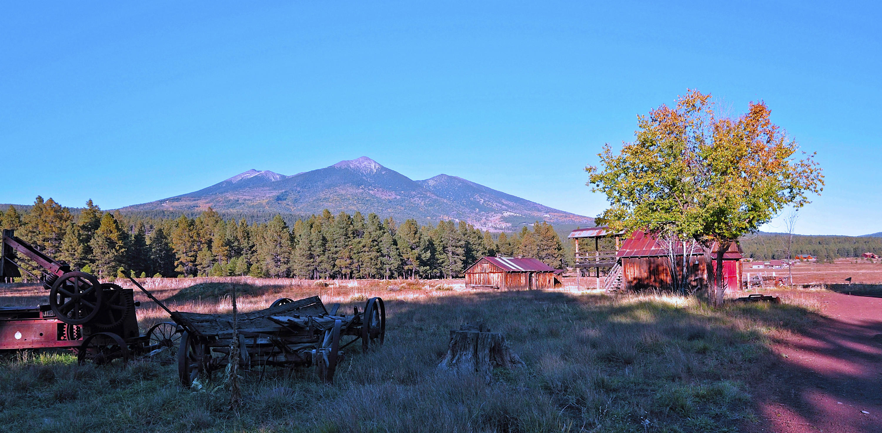 9150 North Roundtree Road Flagstaff, AZ 86001 - Photo 7 of 35 roundtree4