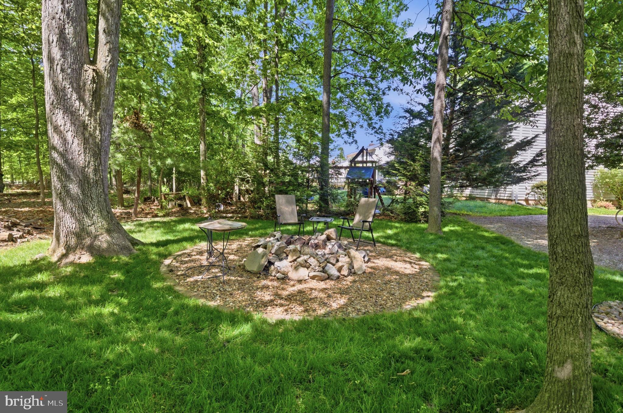 407 Autumn Olive Way Sterling, VA 20164 - Photo 42 of 47 a view of a yard with a tree