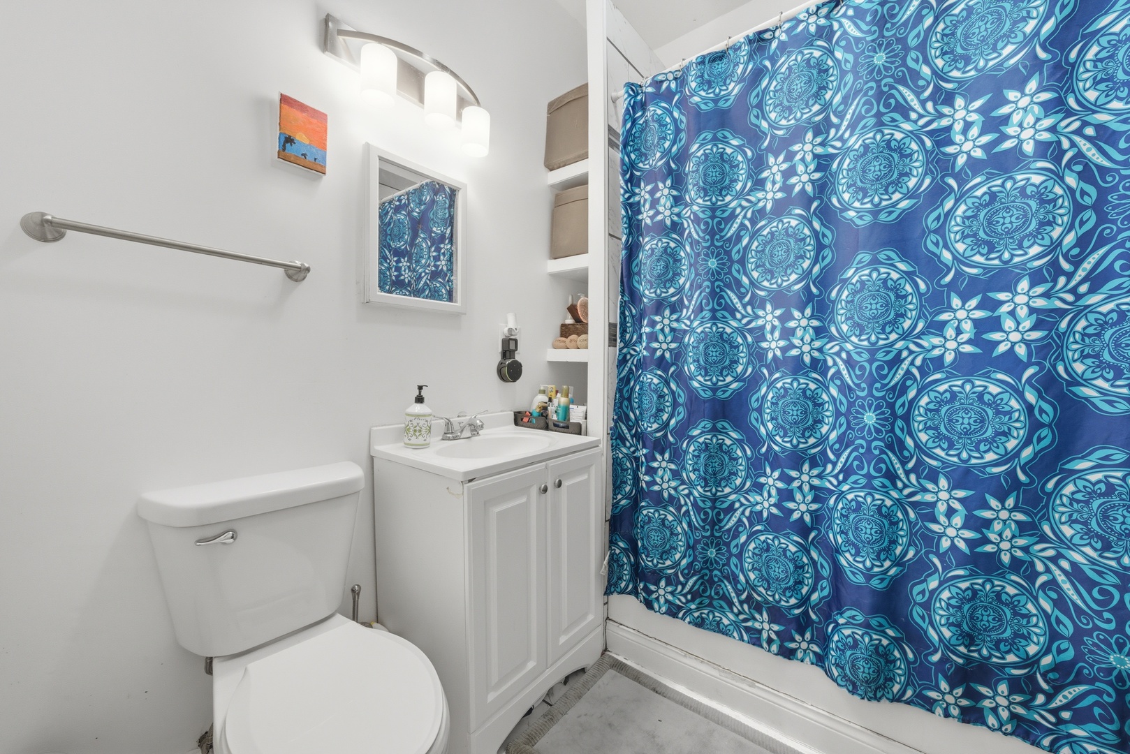 2527 South Harding Avenue Chicago, IL 60623 - Photo 9 of 13