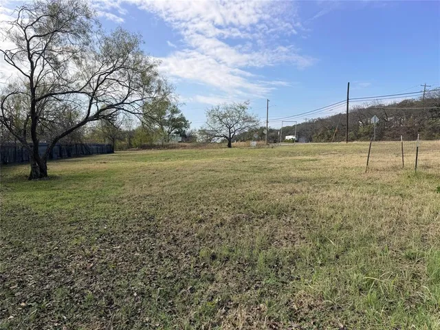 a view of a yard with a tree