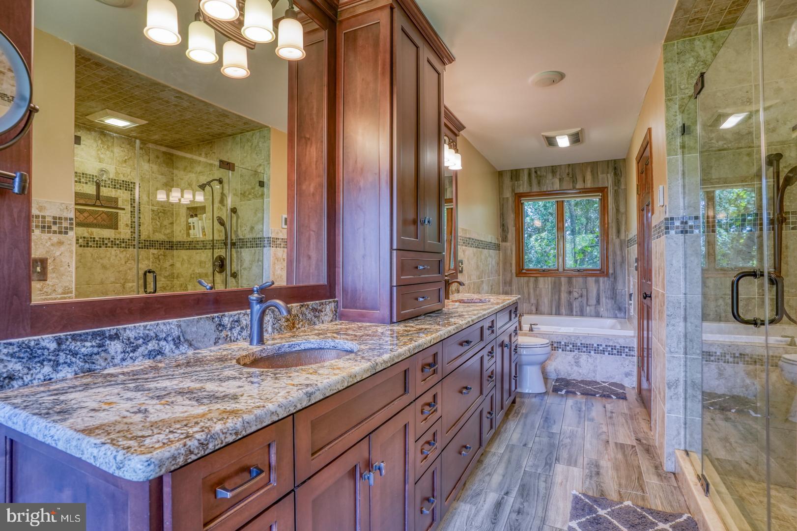 952 Churchtown Road Middletown, DE 19709 - Photo 36 of 100 Master Bathroom