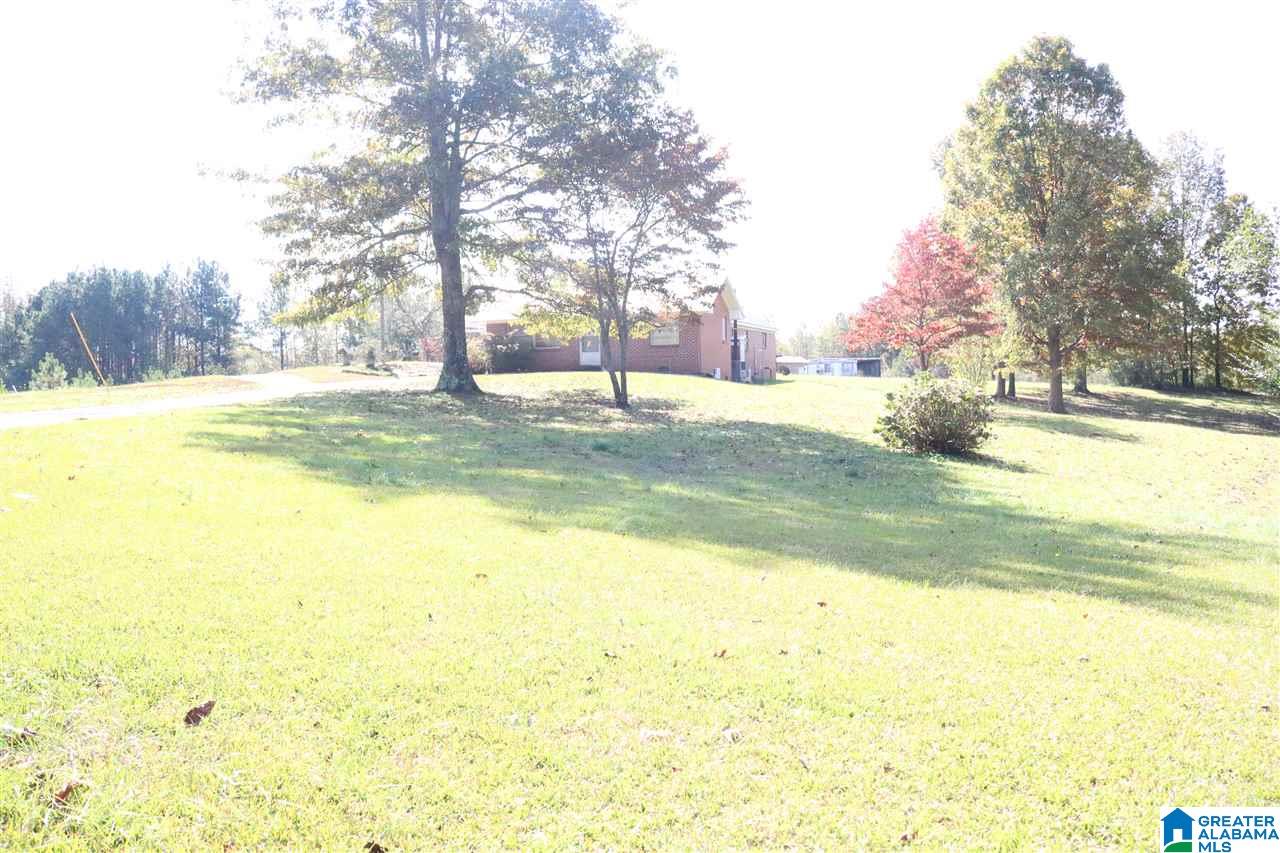 1800 Blakes Ferry Road Lineville, AL 36266 - Photo 24 of 36