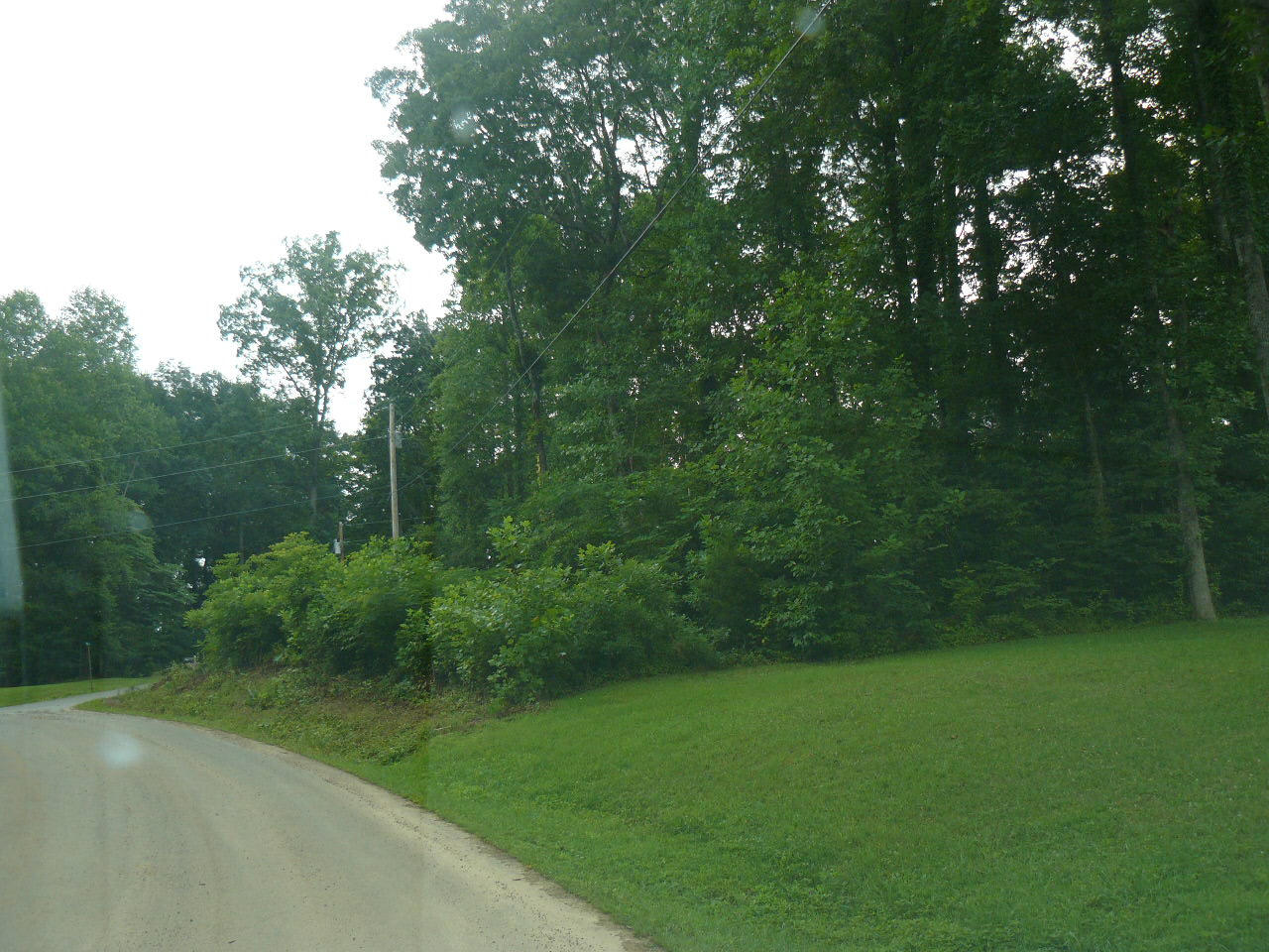 Lot 16