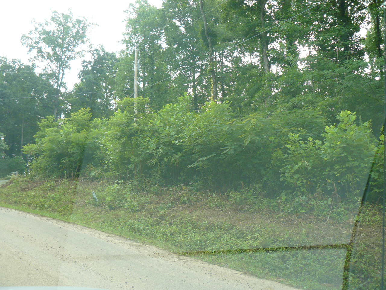 Lot 16a