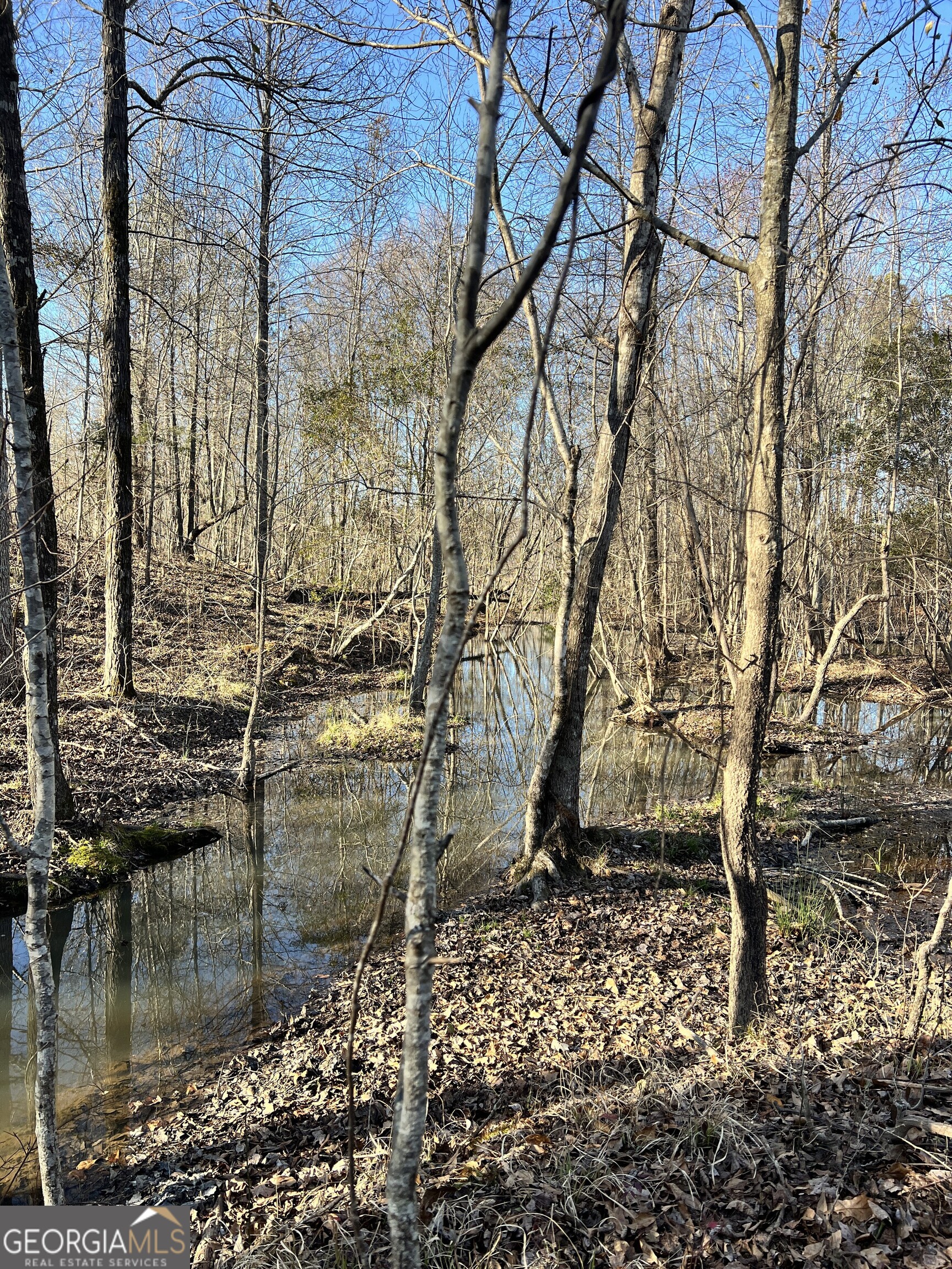 a view of outdoor space