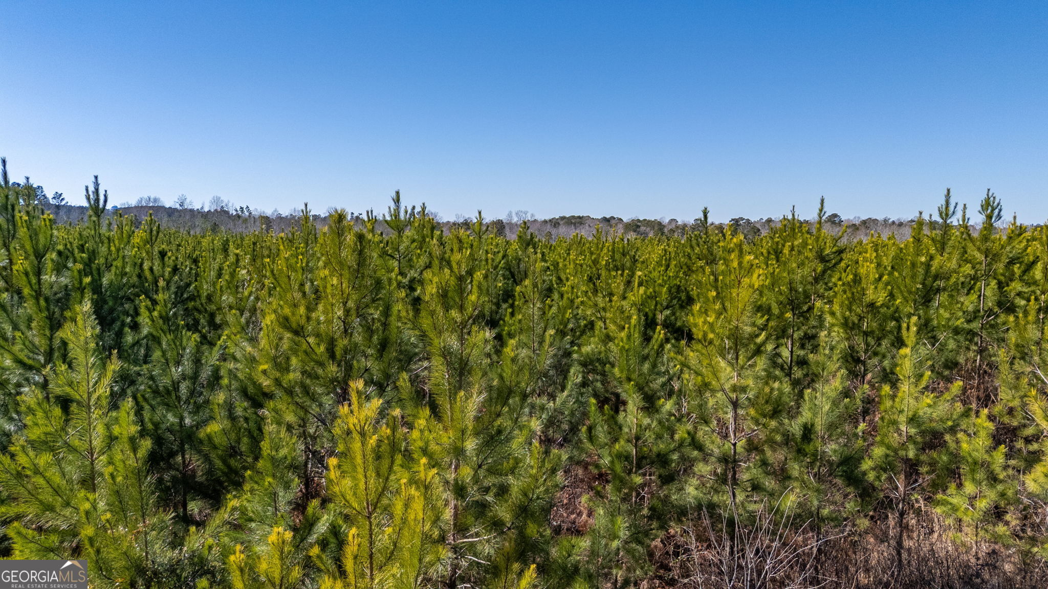 0 Crawfordville Road White Plains, GA 30678 - Photo 12 of 24 a view of a city