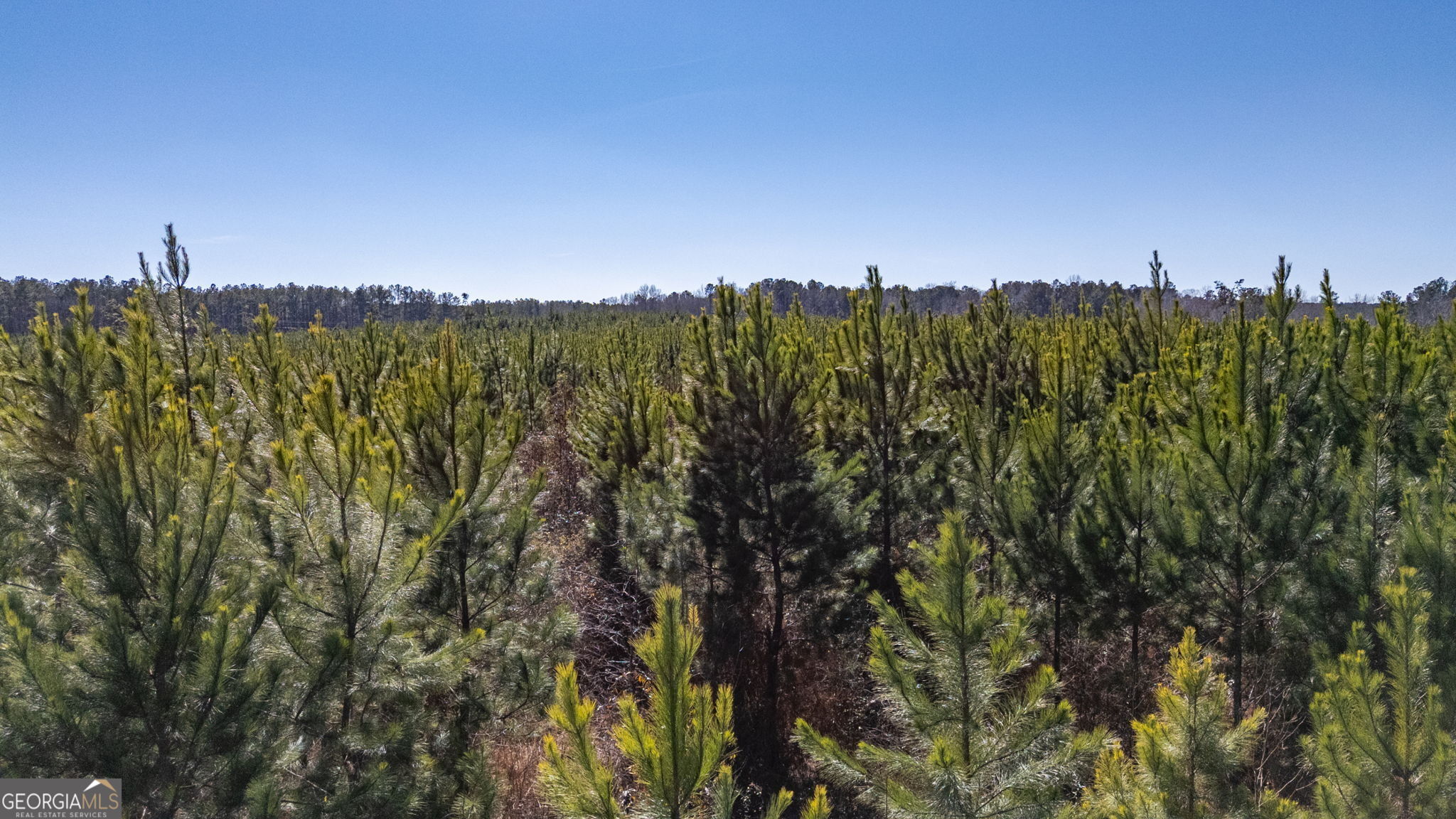 0 Crawfordville Road White Plains, GA 30678 - Photo 13 of 24 a view of a city