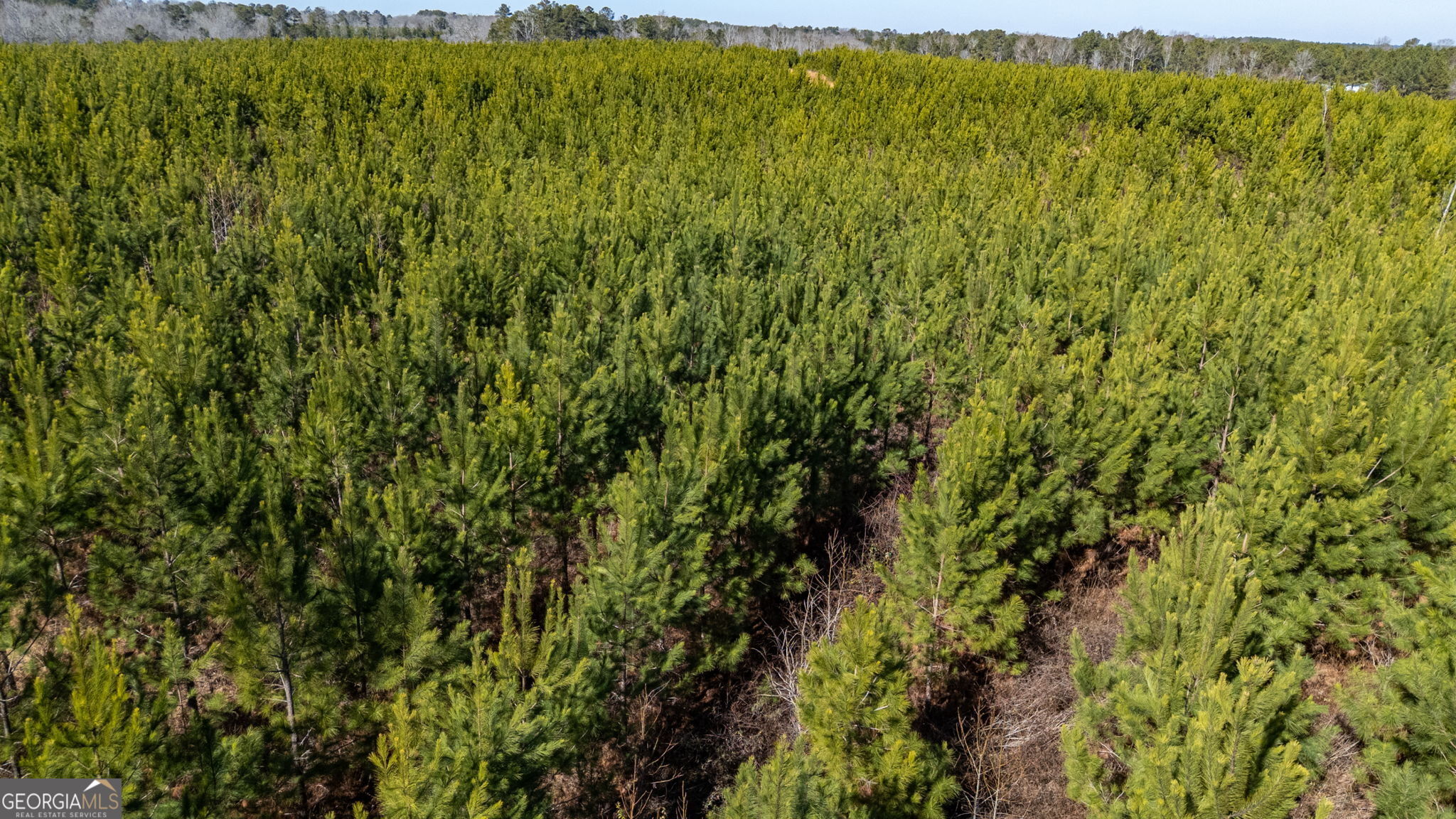 0 Crawfordville Road White Plains, GA 30678 - Photo 14 of 24 a view of a field