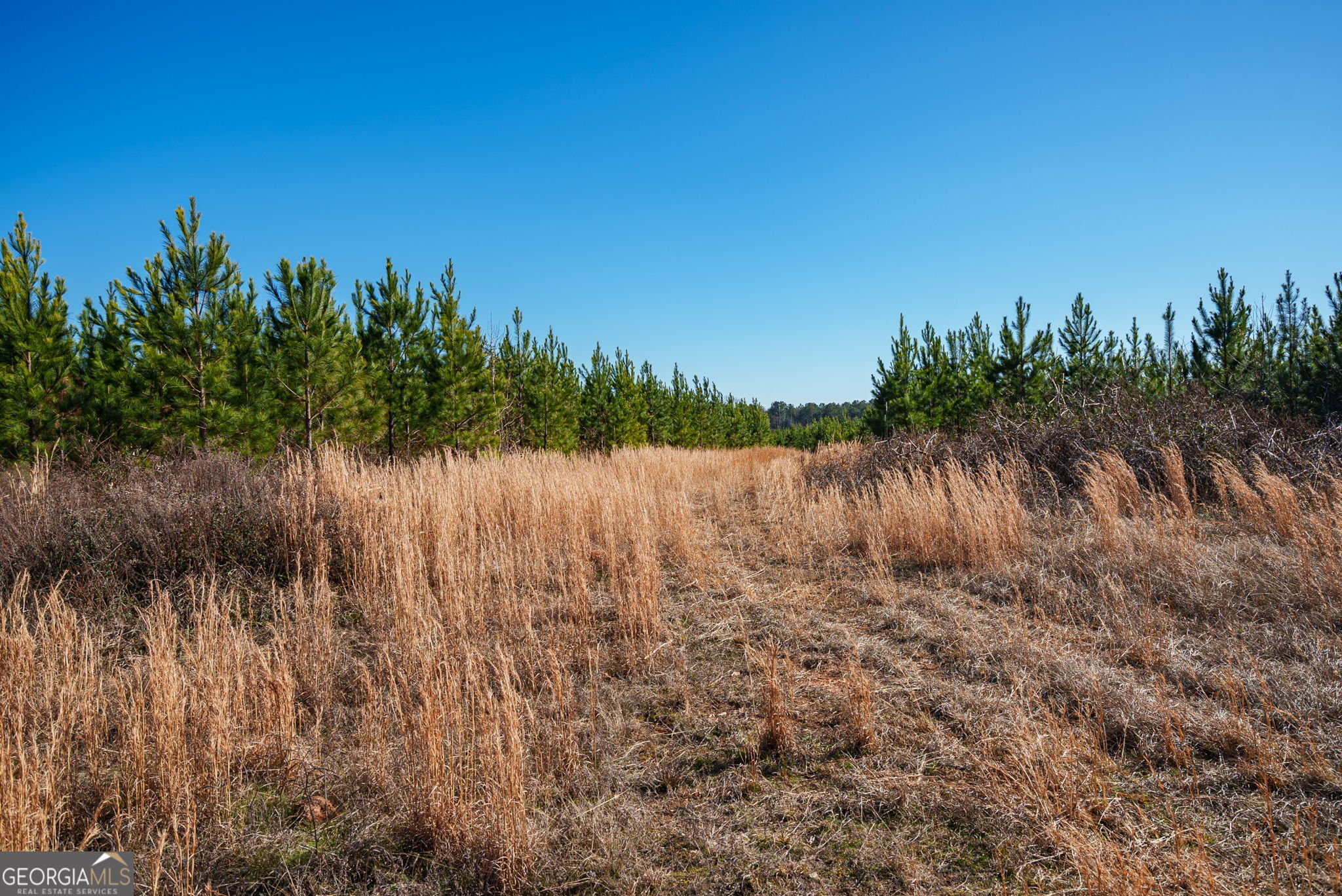 0 Crawfordville Road White Plains, GA 30678 - Photo 16 of 24 a view of a lake in between the field and trees