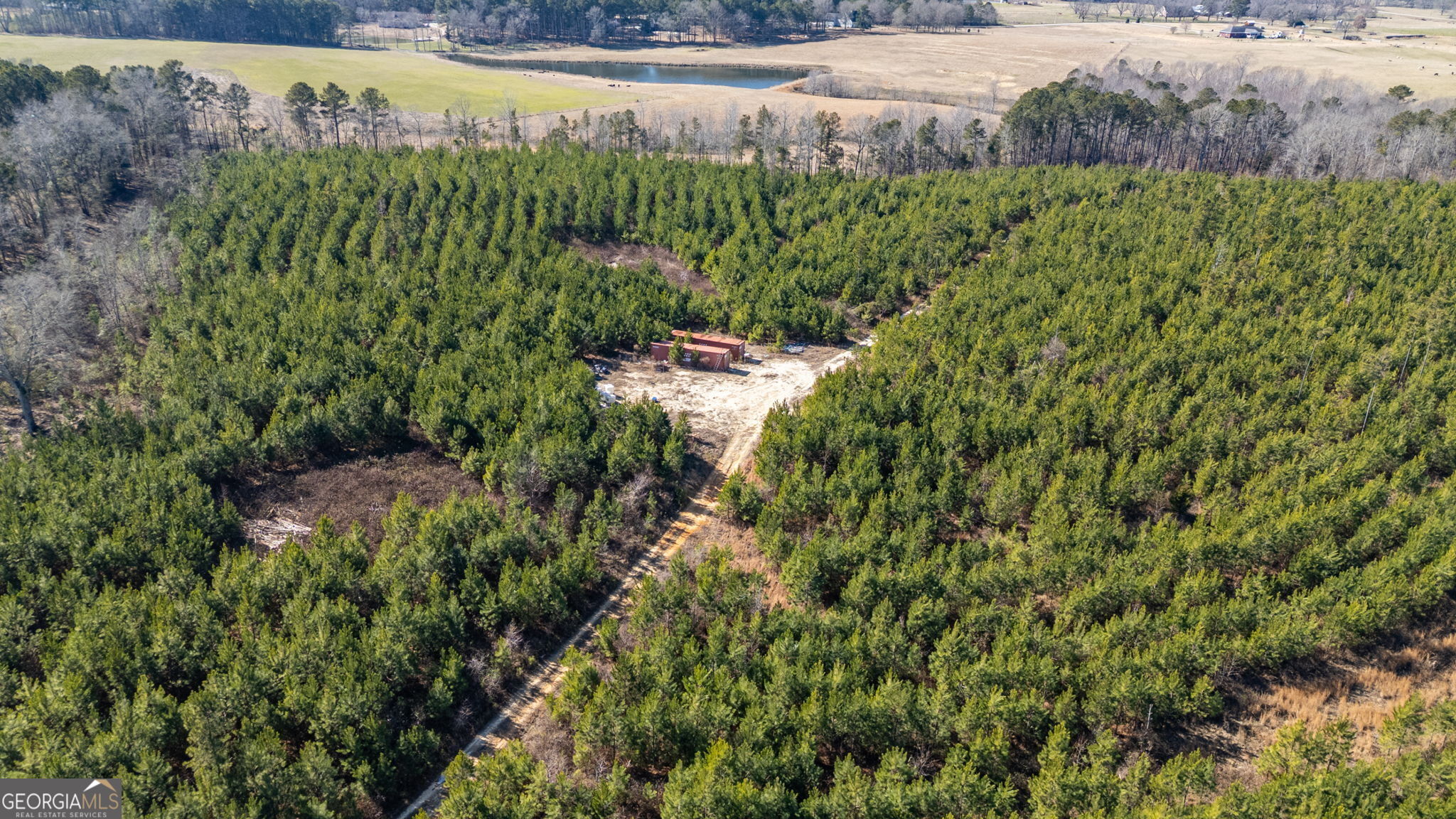 0 Crawfordville Road White Plains, GA 30678 - Photo 17 of 24 a view of a yard with a plants