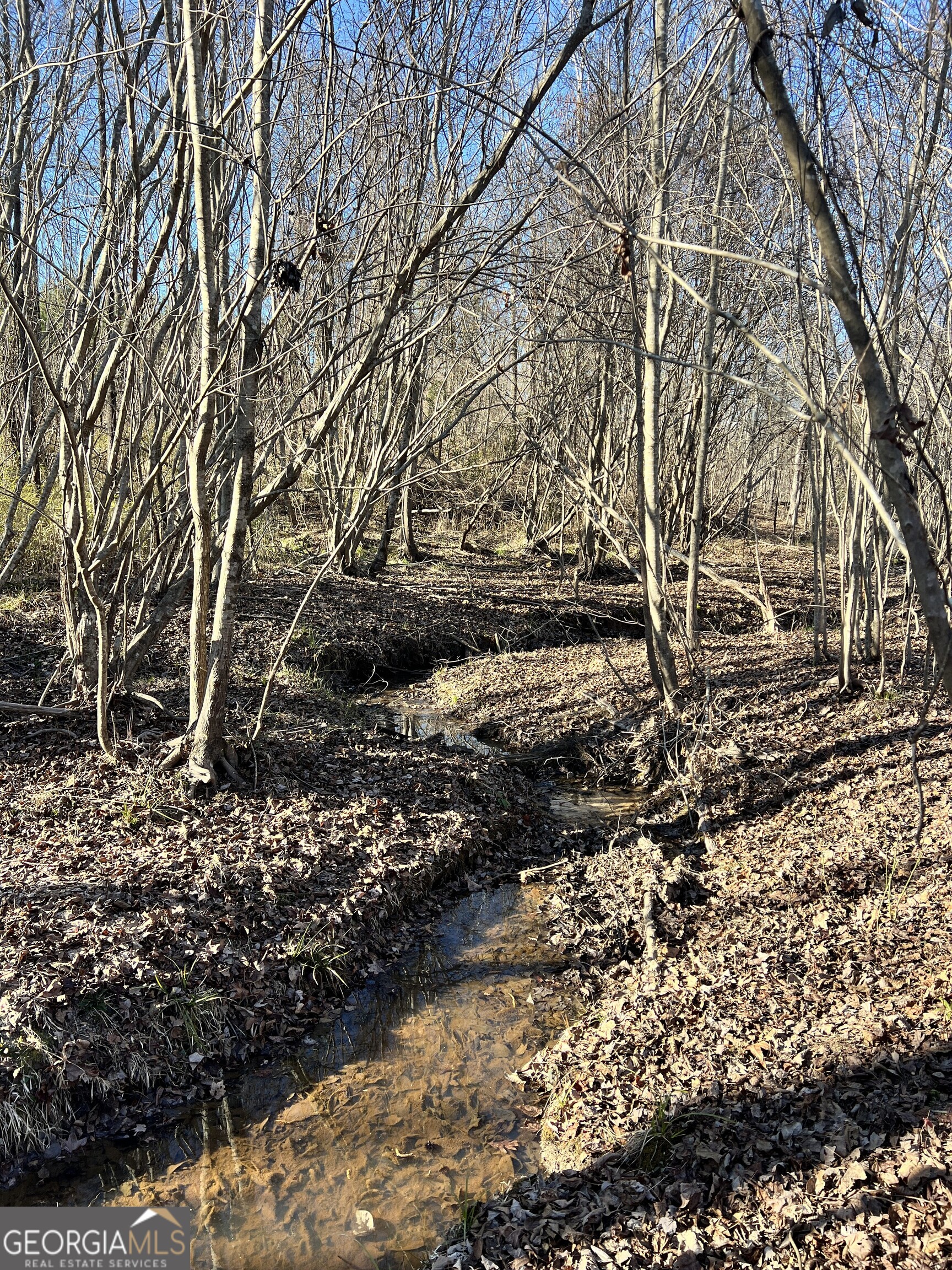 0 Crawfordville Road White Plains, GA 30678 - Photo 18 of 24 a backyard of a house with lots of green space