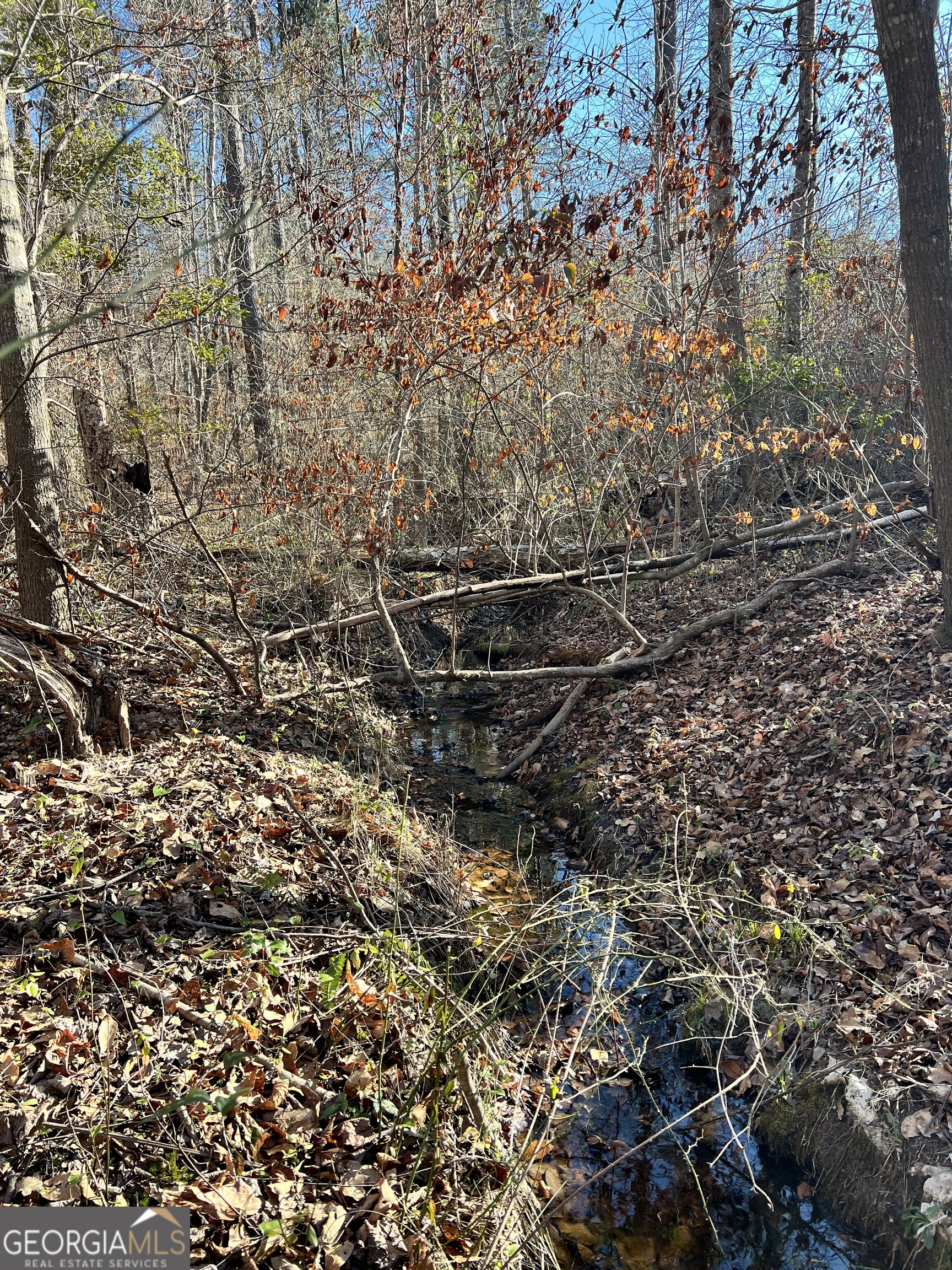 0 Crawfordville Road White Plains, GA 30678 - Photo 20 of 24 a backyard of a house
