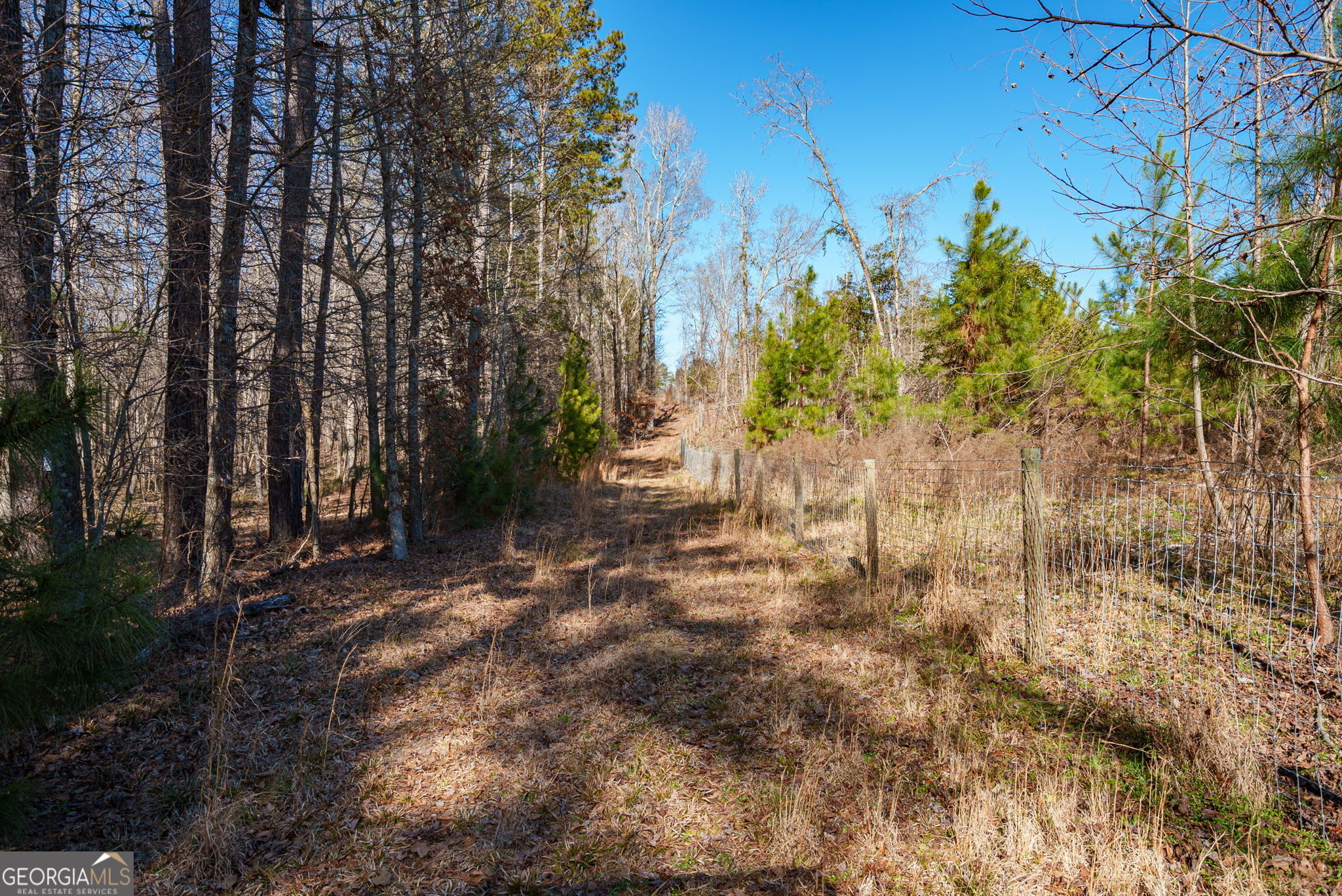 0 Crawfordville Road White Plains, GA 30678 - Photo 2 of 24 a view of backyard with green space