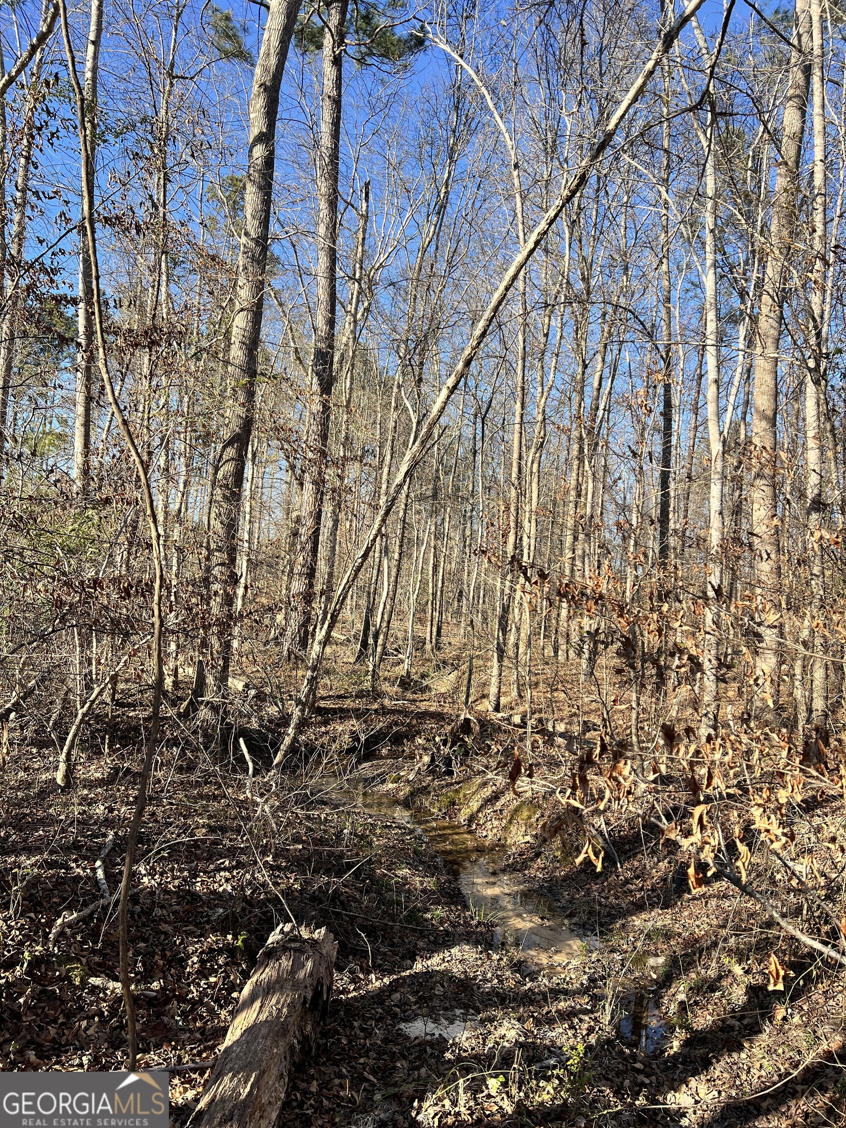 0 Crawfordville Road White Plains, GA 30678 - Photo 21 of 24 a backyard of a building