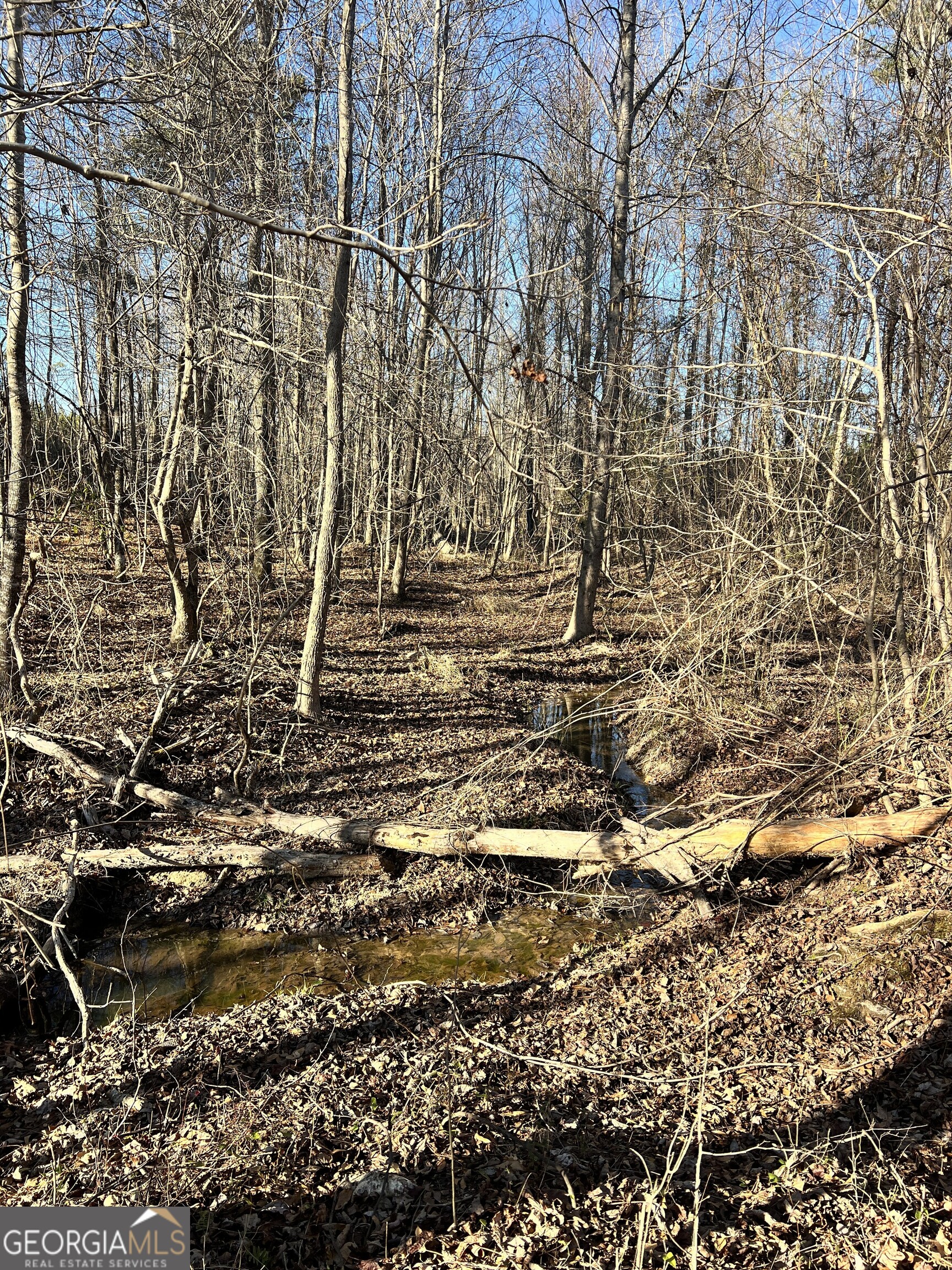 0 Crawfordville Road White Plains, GA 30678 - Photo 22 of 24 a view of house with yard