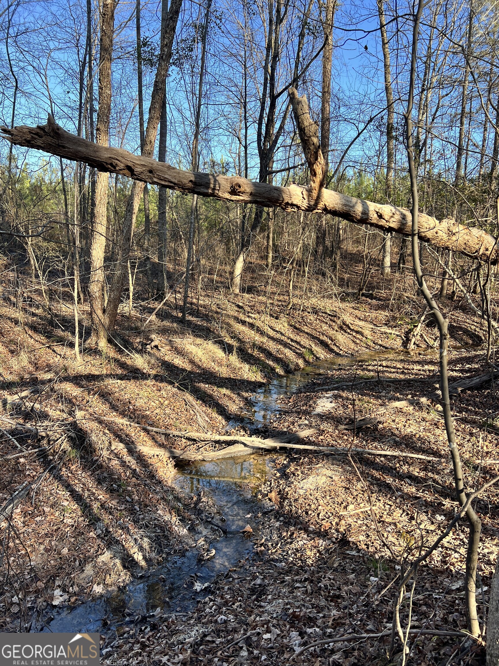 0 Crawfordville Road White Plains, GA 30678 - Photo 23 of 24 a view of trees and snow on the road