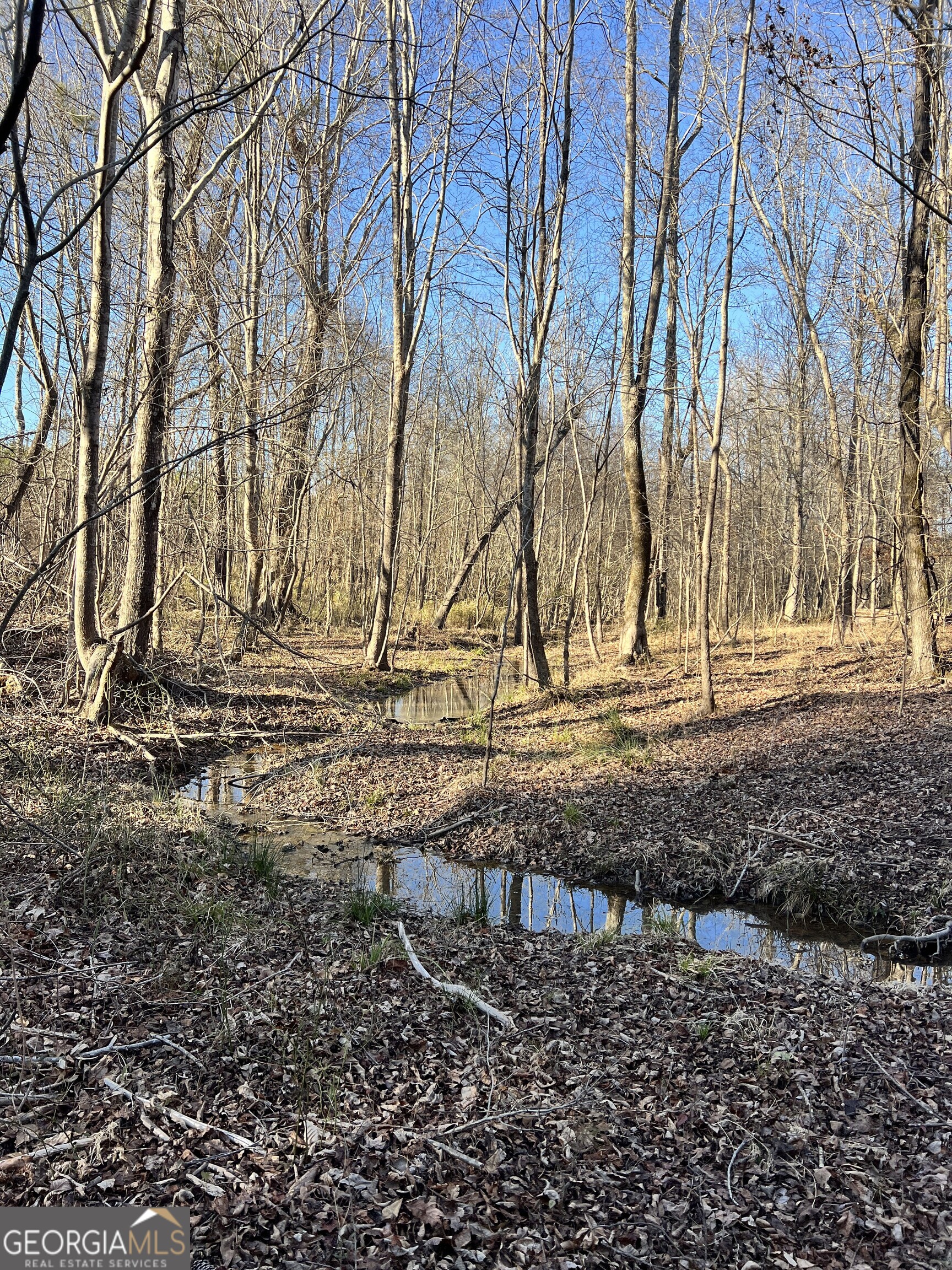 0 Crawfordville Road White Plains, GA 30678 - Photo 24 of 24 a view of house with trees