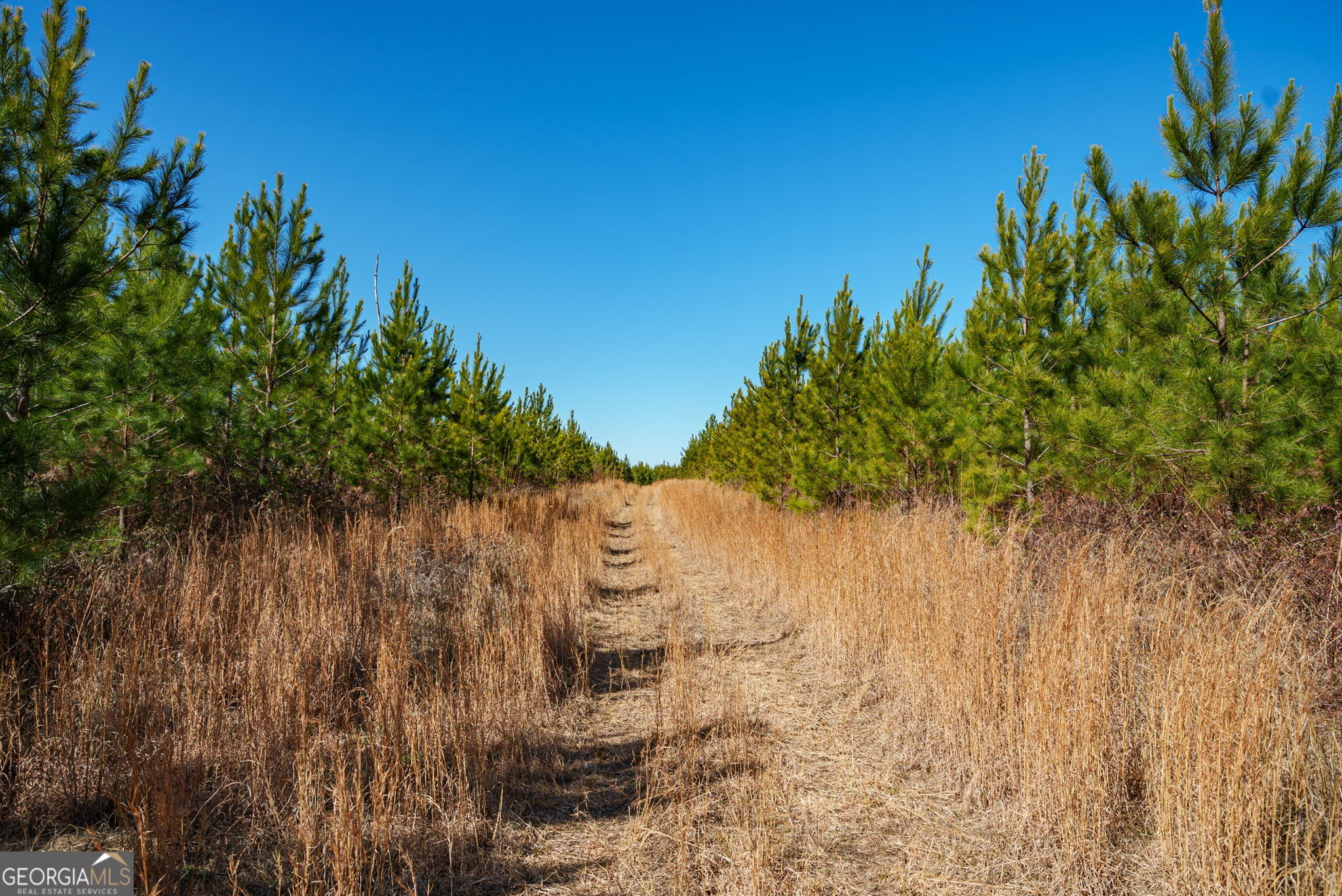 0 Crawfordville Road White Plains, GA 30678 - Photo 5 of 24 a view of lake view