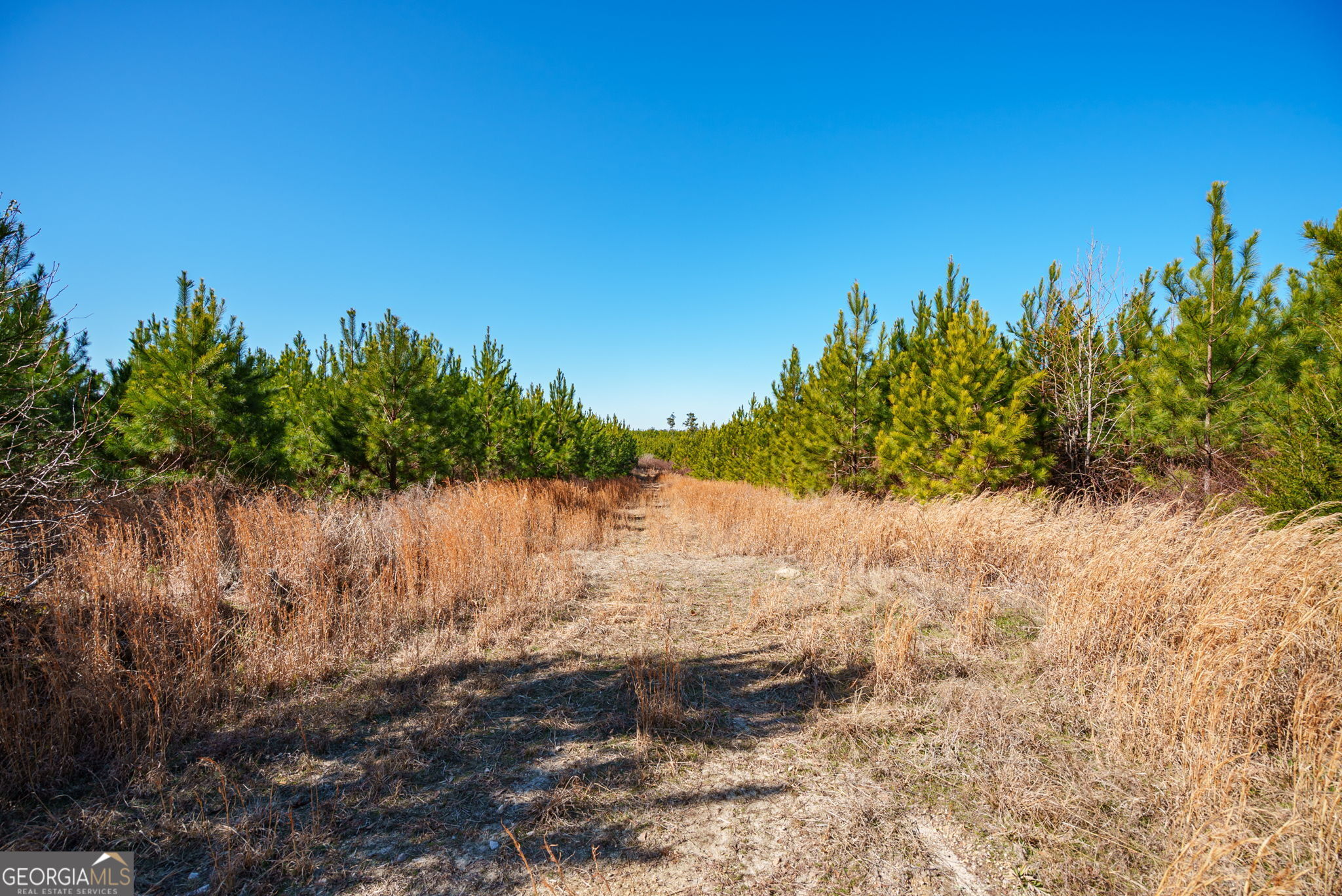 0 Crawfordville Road White Plains, GA 30678 - Photo 7 of 24