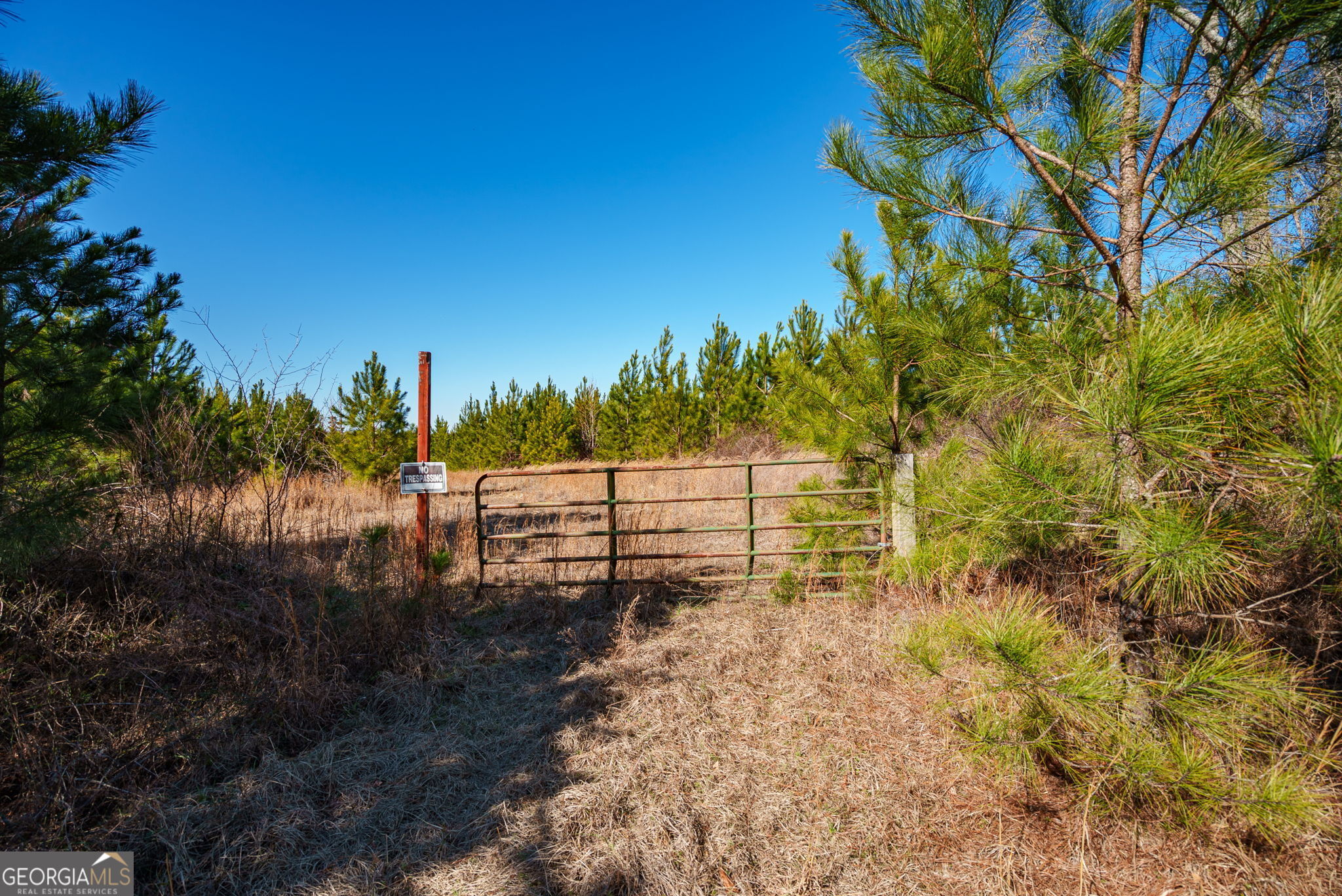 0 Crawfordville Road White Plains, GA 30678 - Photo 8 of 24 a view of a yard