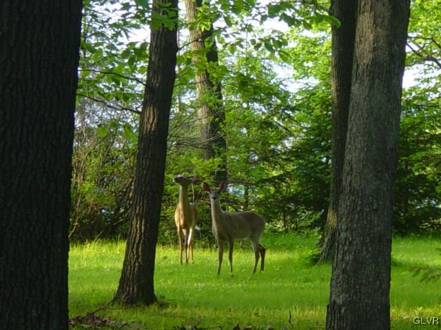 3065 Old Post Road Slatington, PA 18080 - Photo 12 of 15 Gallery Image 12