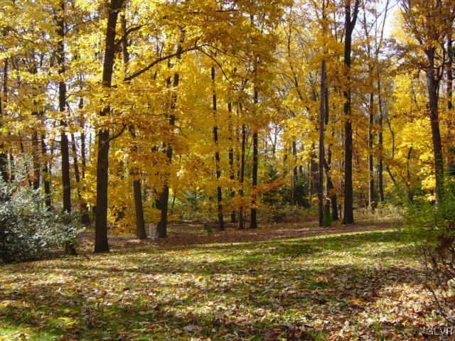 3065 Old Post Road Slatington, PA 18080 - Photo 15 of 15 Autumn Foliage
