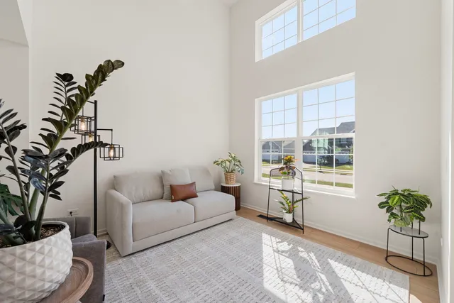 a living room with furniture and a potted plant