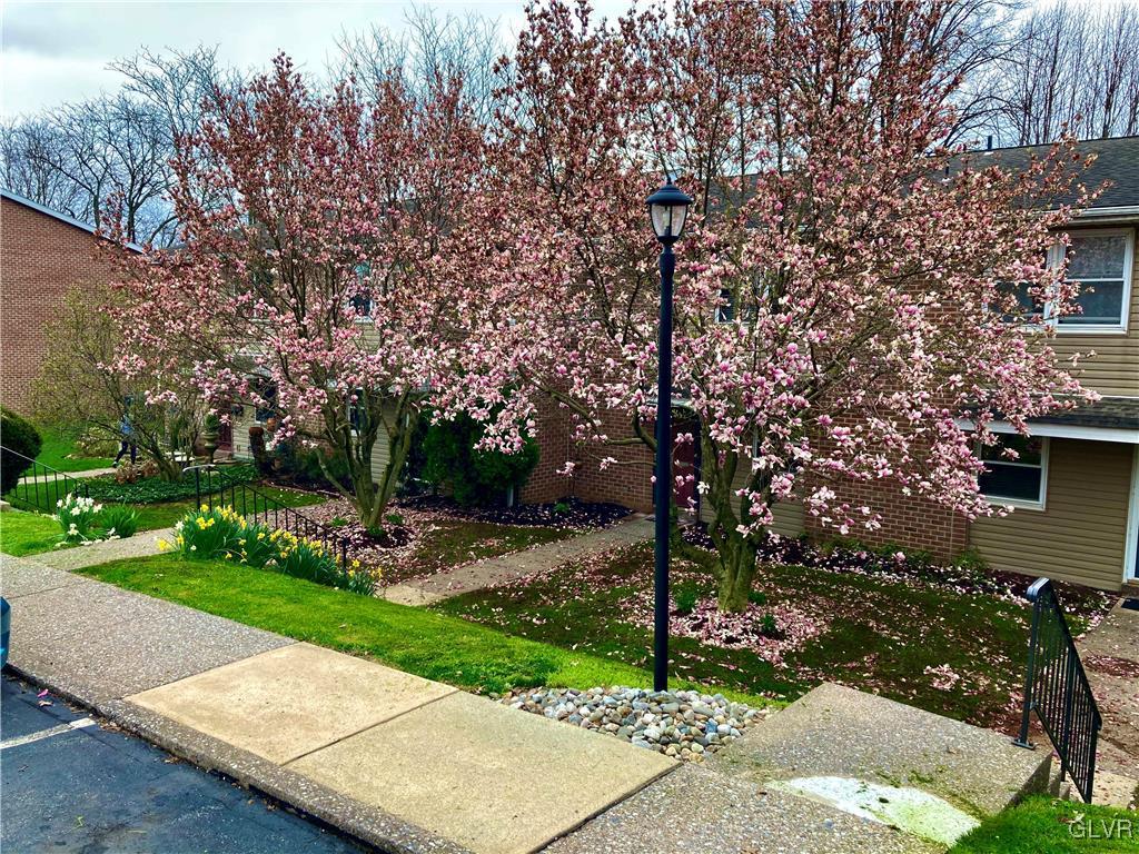 315 Spring Street Bethlehem, PA 18018 - Photo 22 of 22 Gallery Image 22
