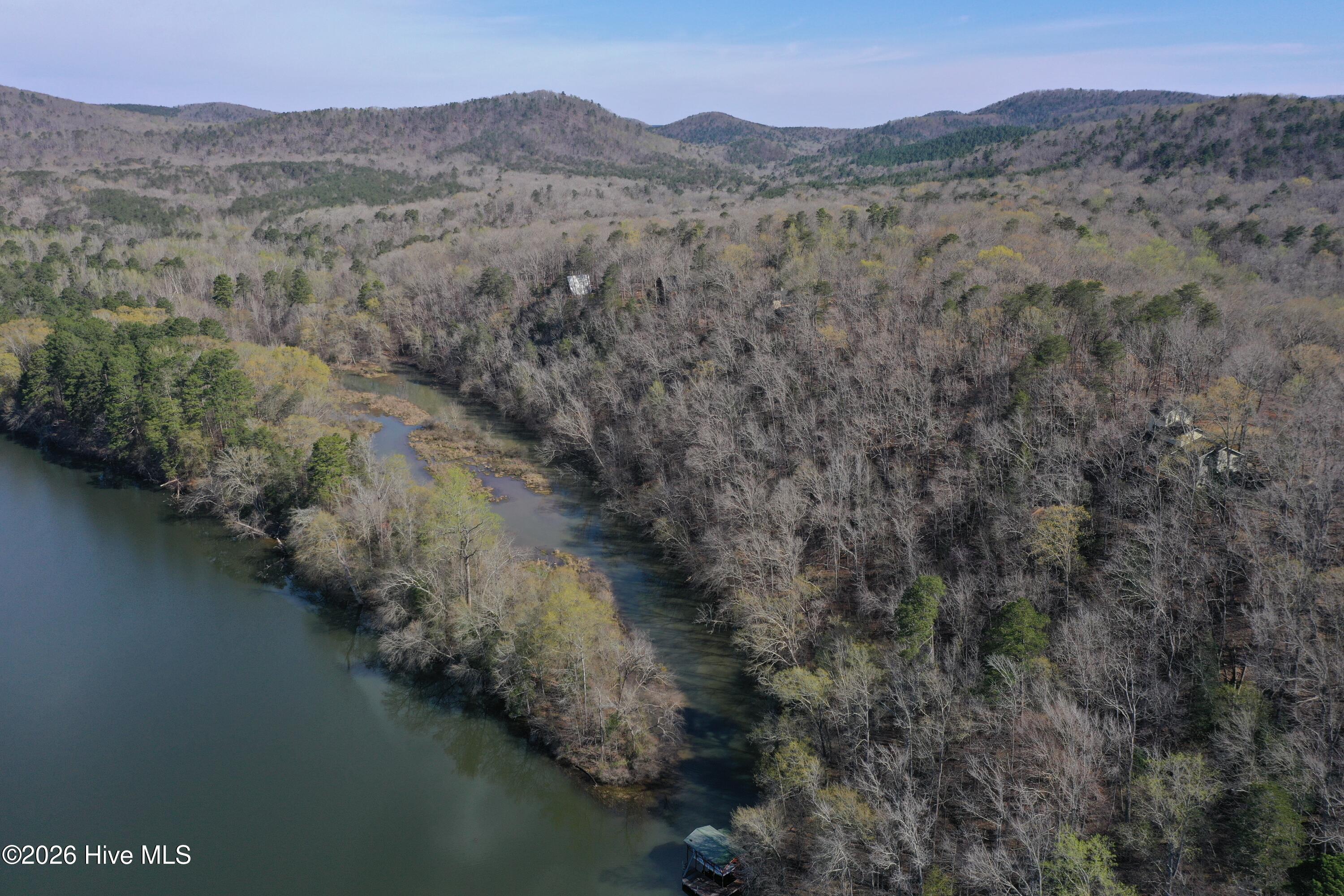 Tbd Haltiwanger Retreat Road Troy, NC 27371 - Photo 6 of 21
