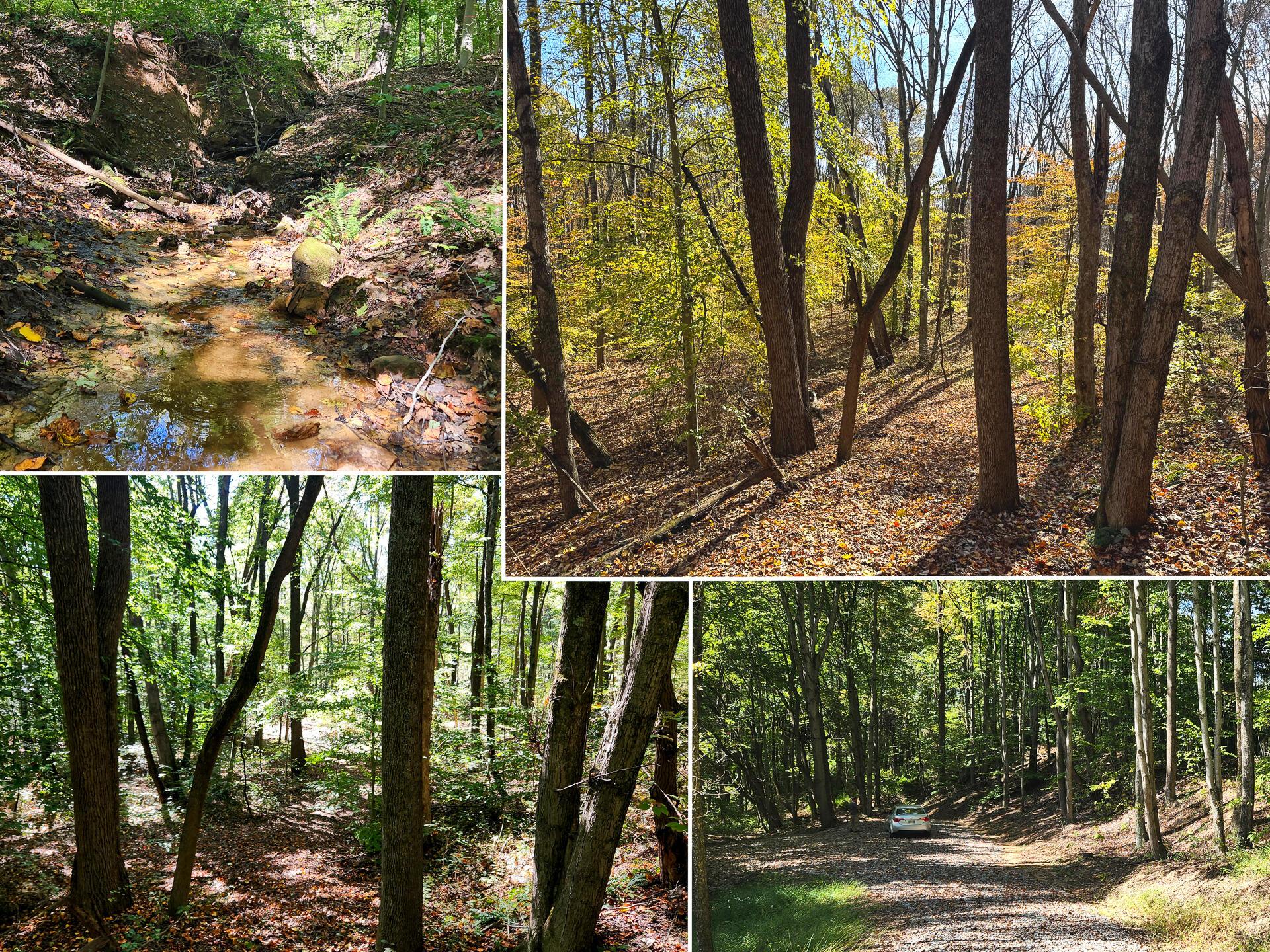 929 Poplar Ridge Road, Unit PONDS POPLAR RIDGE TRACT 14) Gallipolis, OH 45631 - Photo 1 of 30 CT-1