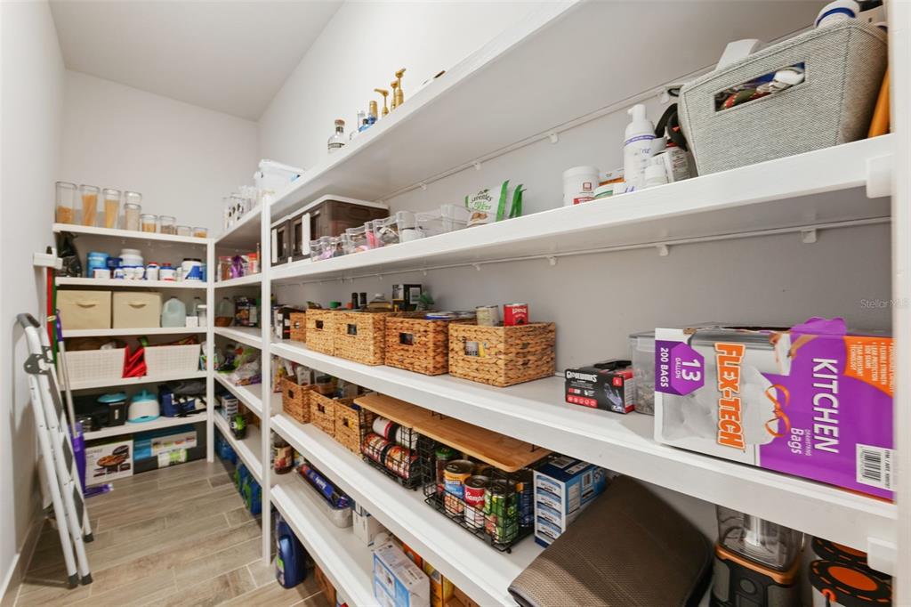 8684 Sanders Tree Loop Wesley Chapel, FL 33545 - Photo 24 of 85