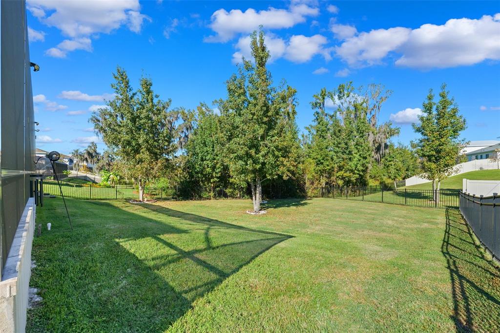 8684 Sanders Tree Loop Wesley Chapel, FL 33545 - Photo 72 of 85