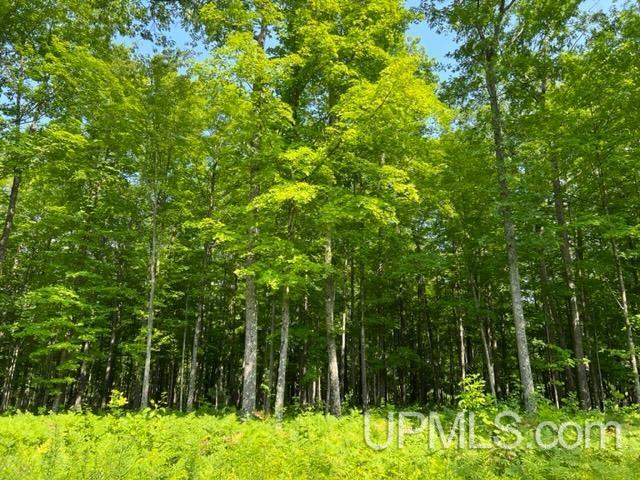 T-wi Birch Hill Road Amberg, WI 54102 - Photo 1 of 21