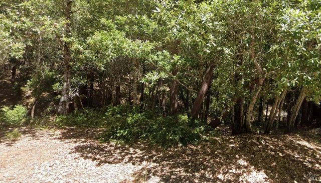 $5,000 | 24413 Rose Terrace, Willits, CA 95490