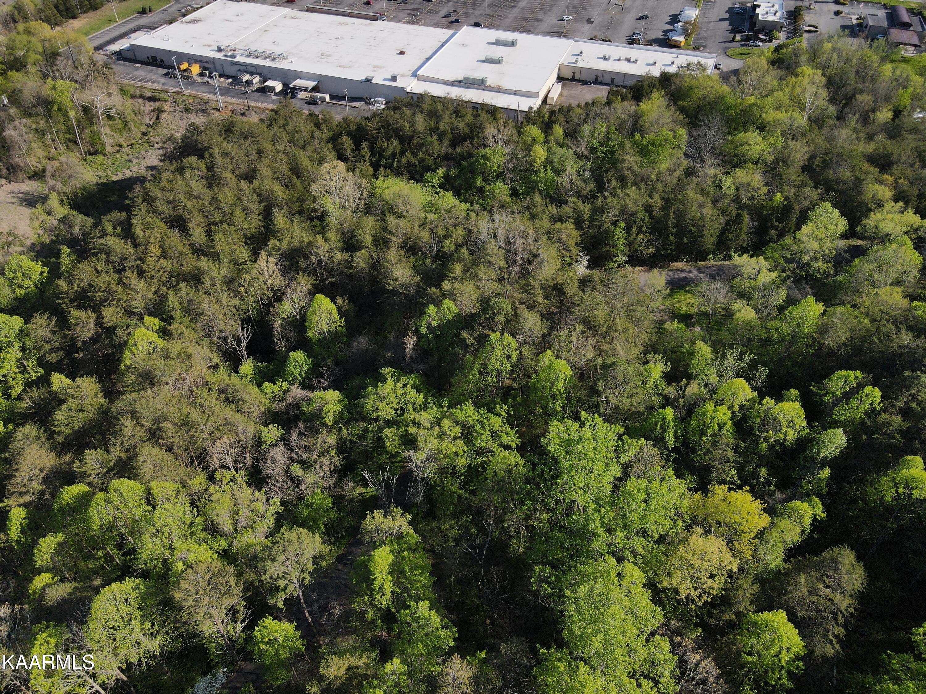 220 Nixon Road Knoxville, TN 37920 - Photo 8 of 14 220_Nixon_6