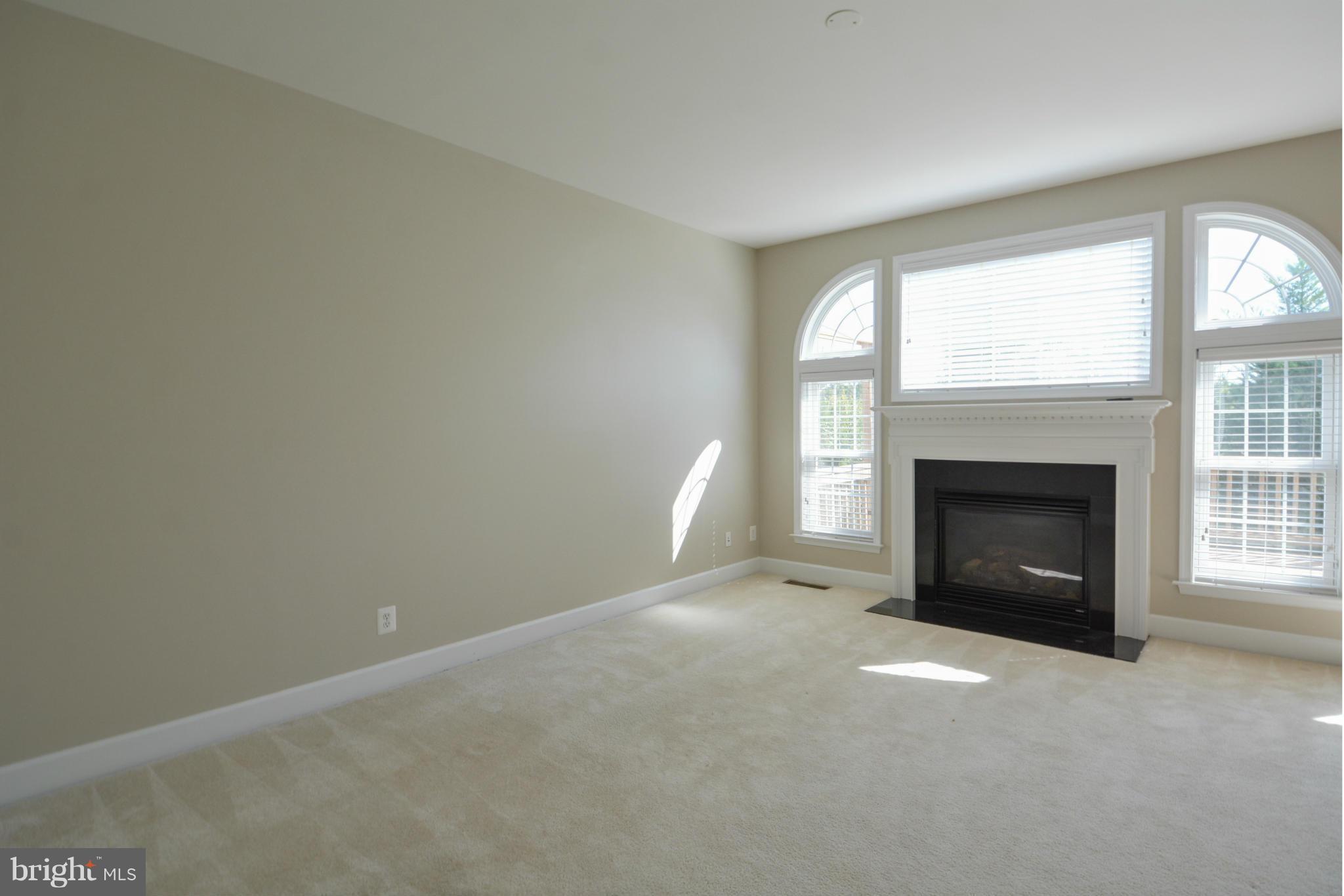 9285 Laurel Ridge Crossing Road Lorton, VA 22079 - Photo 19 of 26 Family Room
