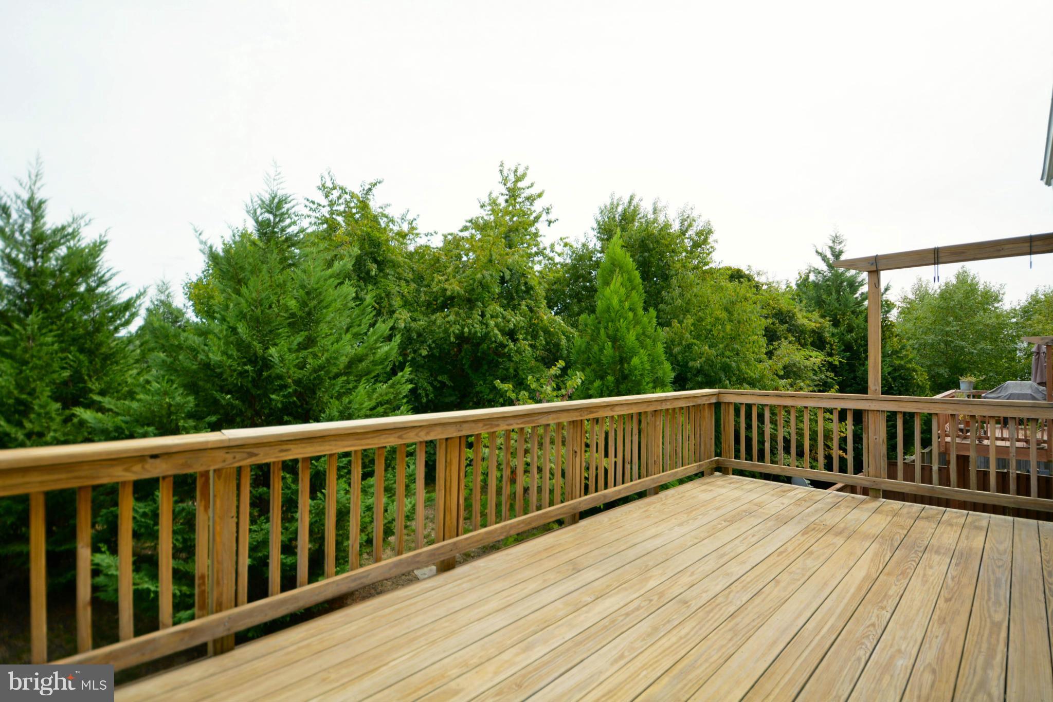9285 Laurel Ridge Crossing Road Lorton, VA 22079 - Photo 26 of 26 Rear Deck