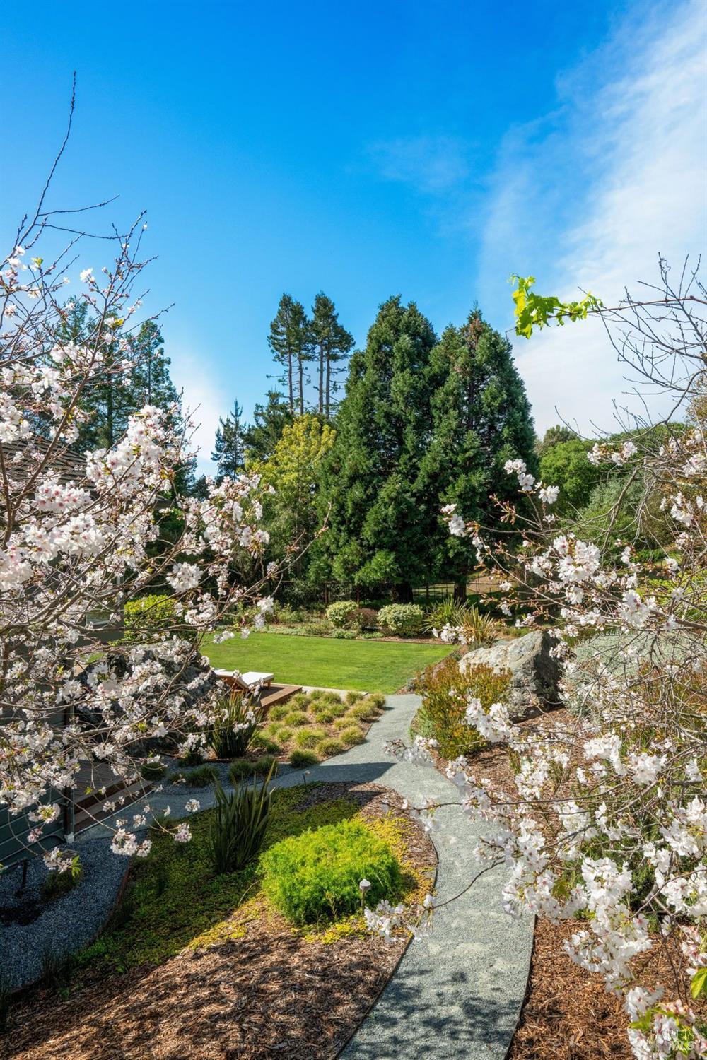 103 Reed Ranch Road Tiburon, CA 94920 - Photo 63 of 89