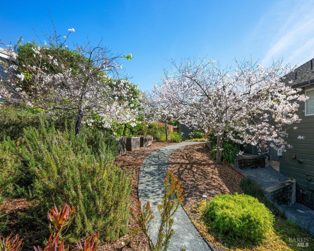 103 Reed Ranch Road Tiburon, CA 94920 - Photo 64 of 89 a view of a garden