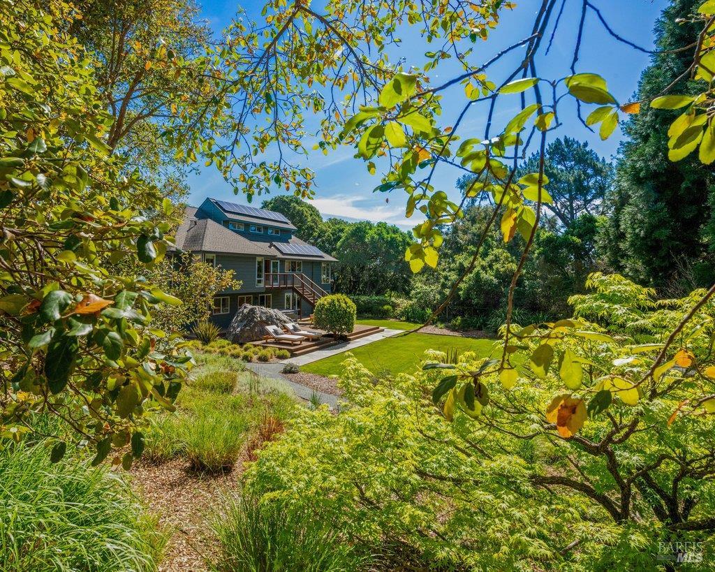 103 Reed Ranch Road Tiburon, CA 94920 - Photo 67 of 89 a view of a house with a yard and sitting area