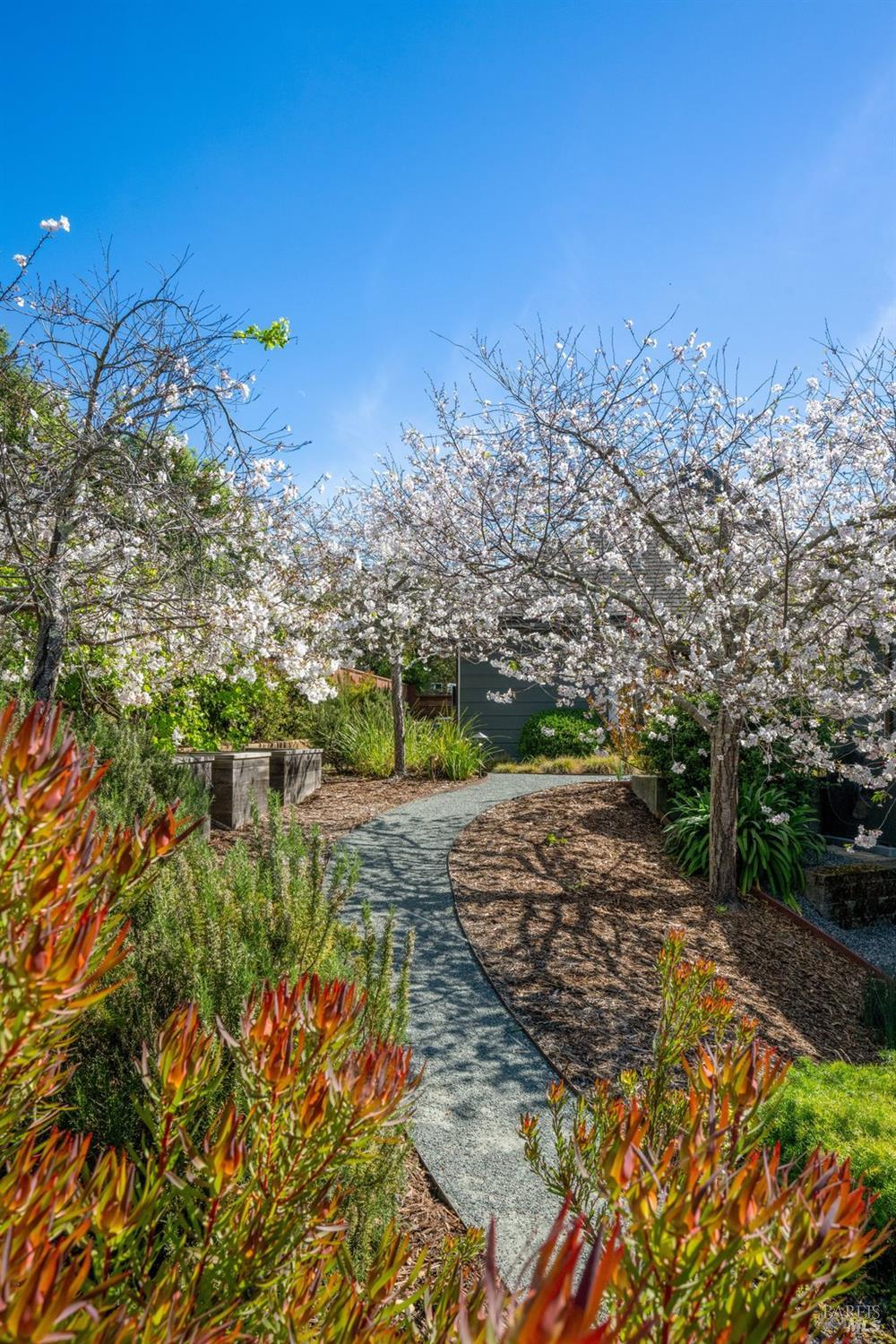 103 Reed Ranch Road Tiburon, CA 94920 - Photo 79 of 89 a view of a yard with wooden fence