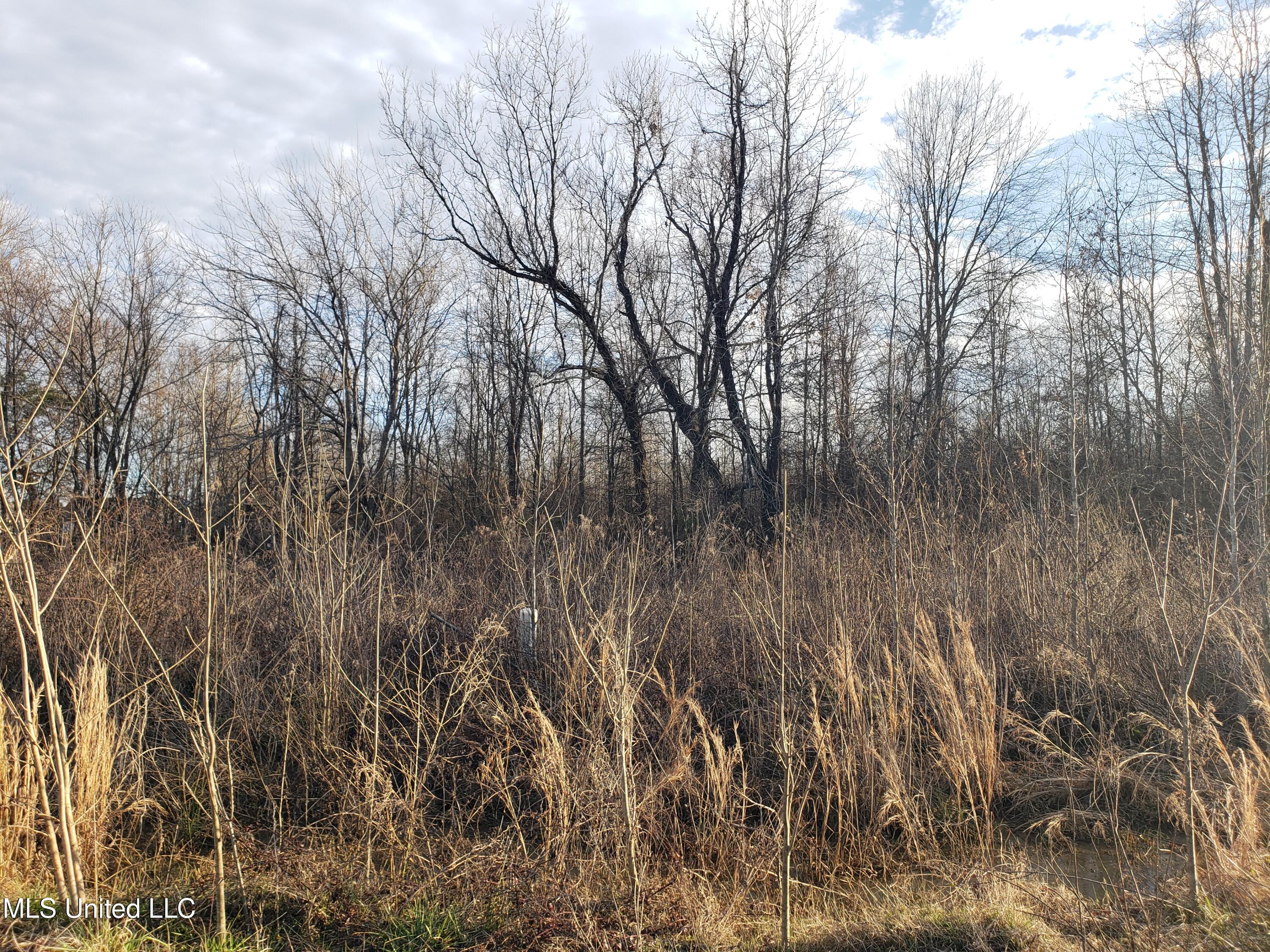 Summer Lane Senatobia, MS 38668 - Photo 17 of 37 20250226_164347
