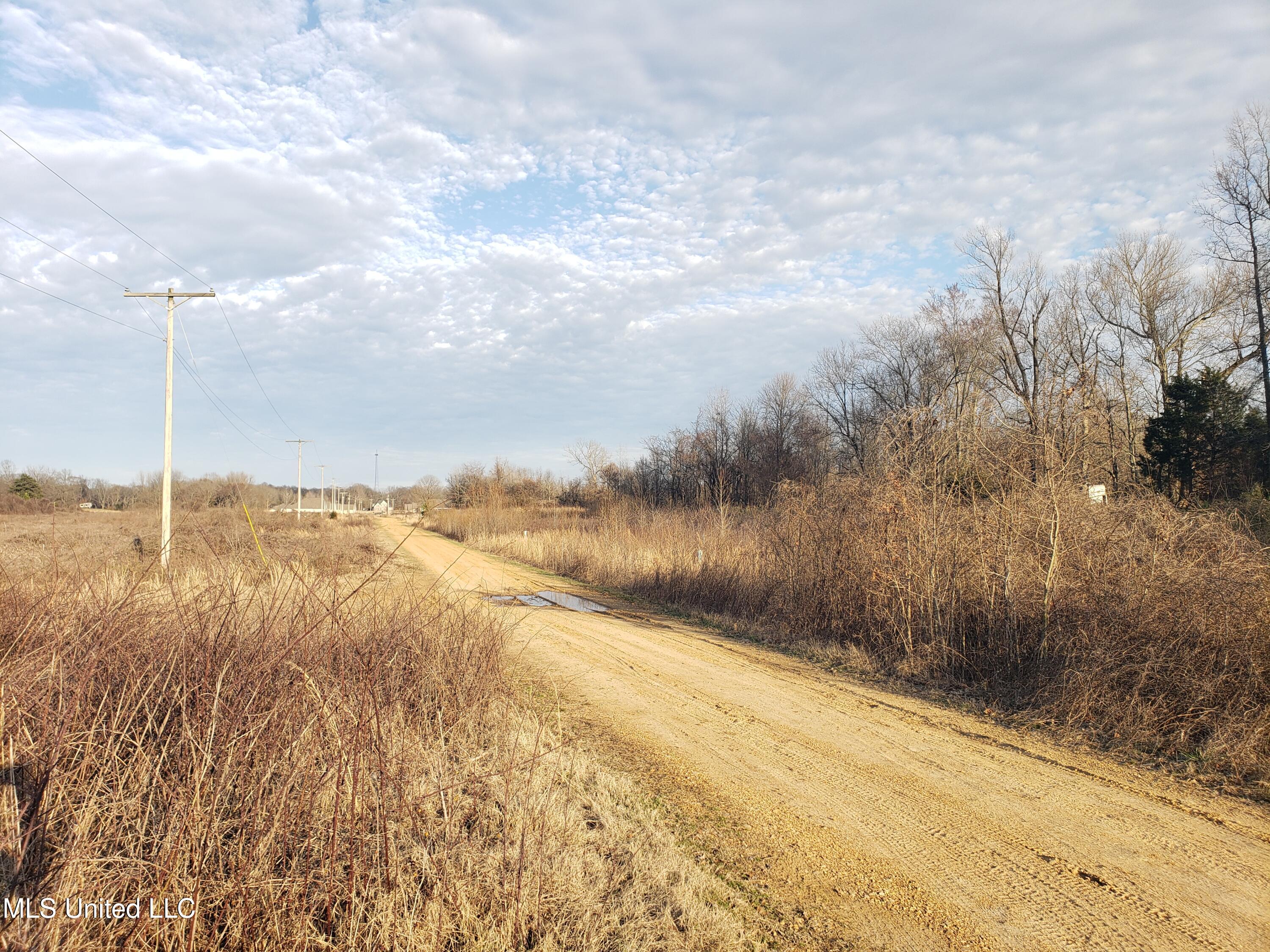 Summer Lane Senatobia, MS 38668 - Photo 28 of 37 20250226_164756