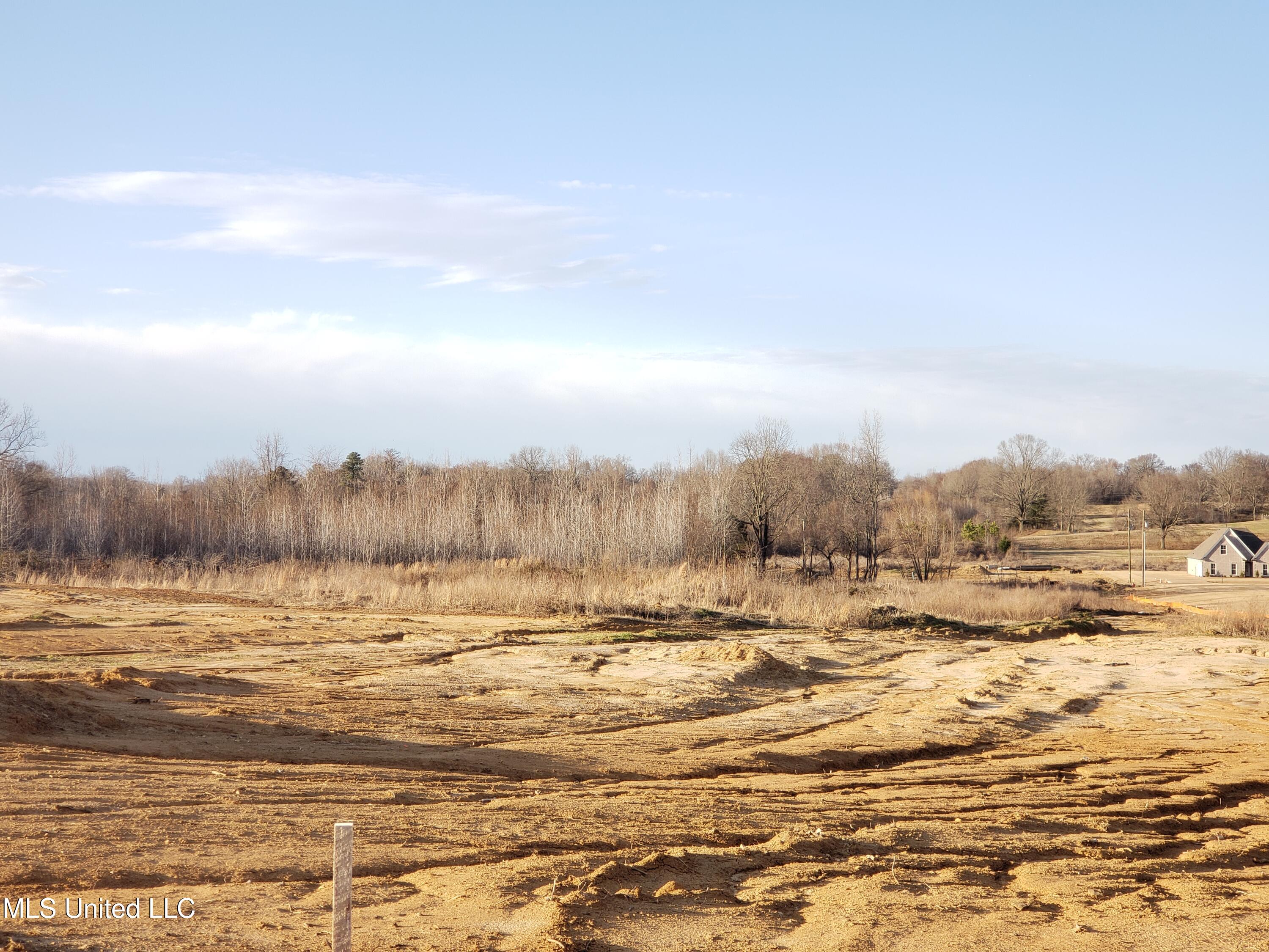 Summer Lane Senatobia, MS 38668 - Photo 35 of 37 20250226_165332