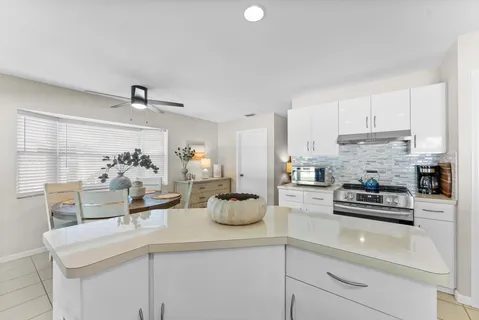a kitchen with a sink and potted plant