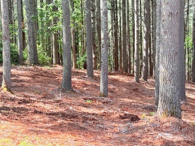 Lot 37 Smoke Rise Path West Jefferson, NC 28694 - Photo 2 of 6