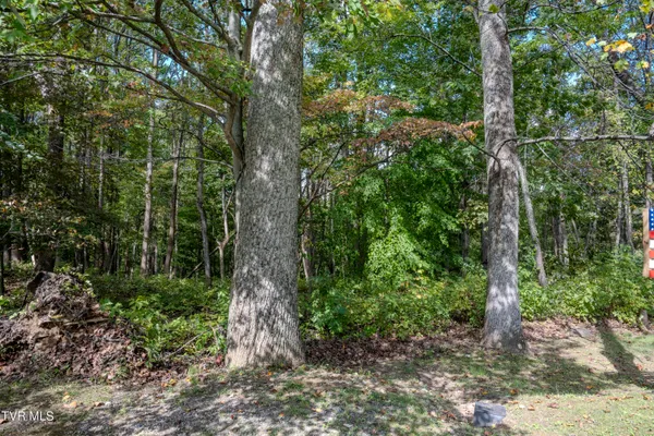 $30,000 | Lot 68 Wood Land Circle, Unit 68, Lebanon, VA 24266