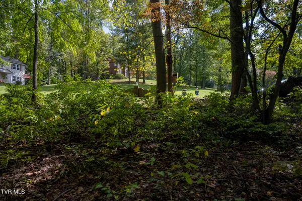 $30,000 | Lot 68 Wood Land Circle, Unit 68, Lebanon, VA 24266