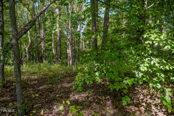 $30,000 | Lot 68 Wood Land Circle, Unit 68, Lebanon, VA 24266